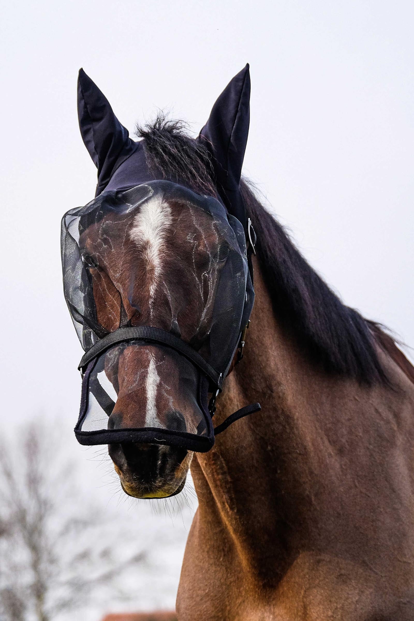 Equi Theme EQUITHÈME Halter + Anti UV Mask Antifly Protection for Horses
