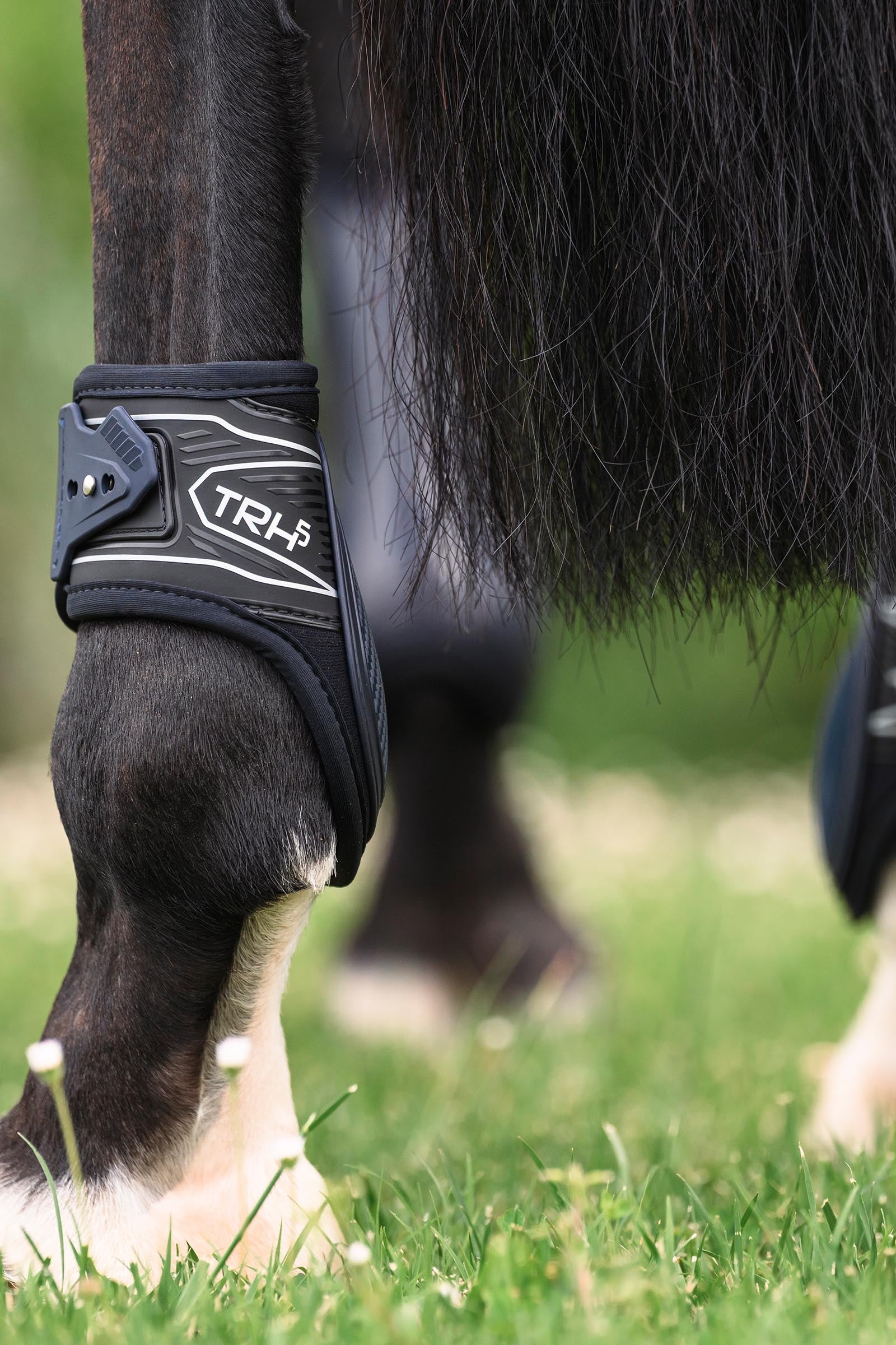 Veredus TRH5 Rear Fetlock Boots Leg & Hoof Protection