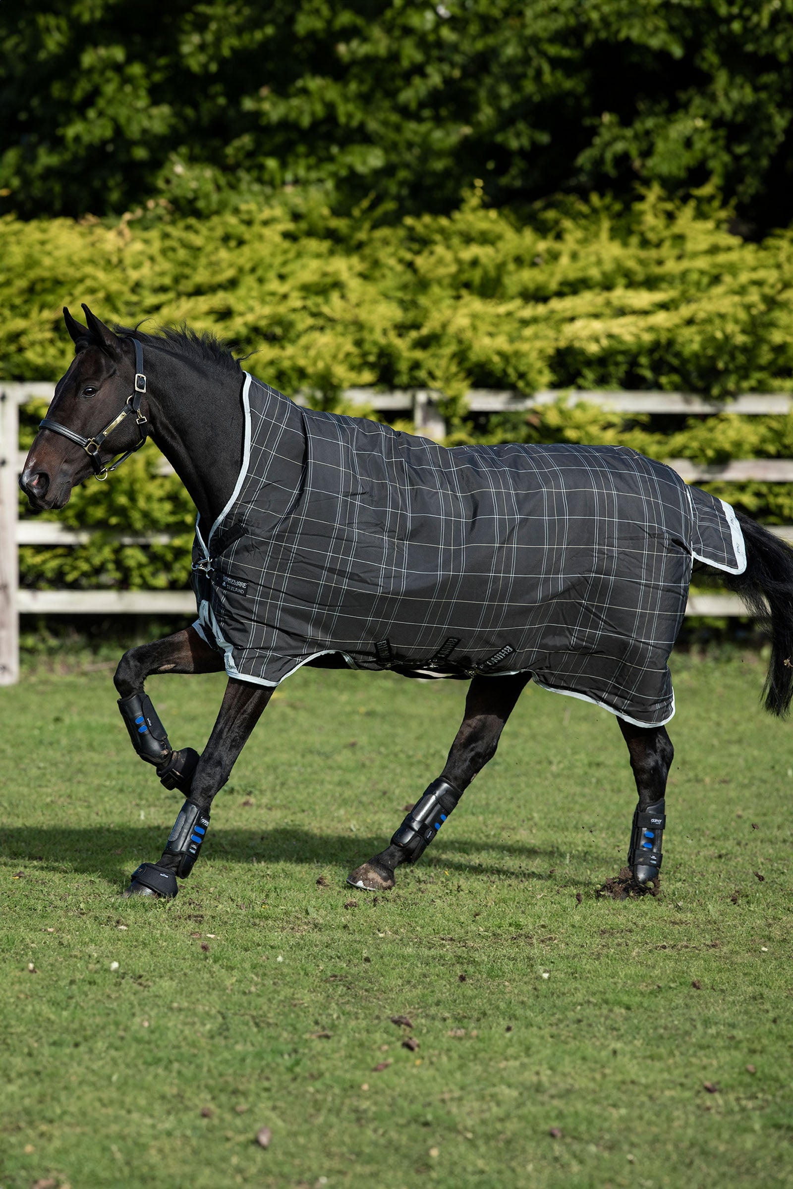 Horseware Rhino Wug Weidedecke, 100 g Pferdedecken