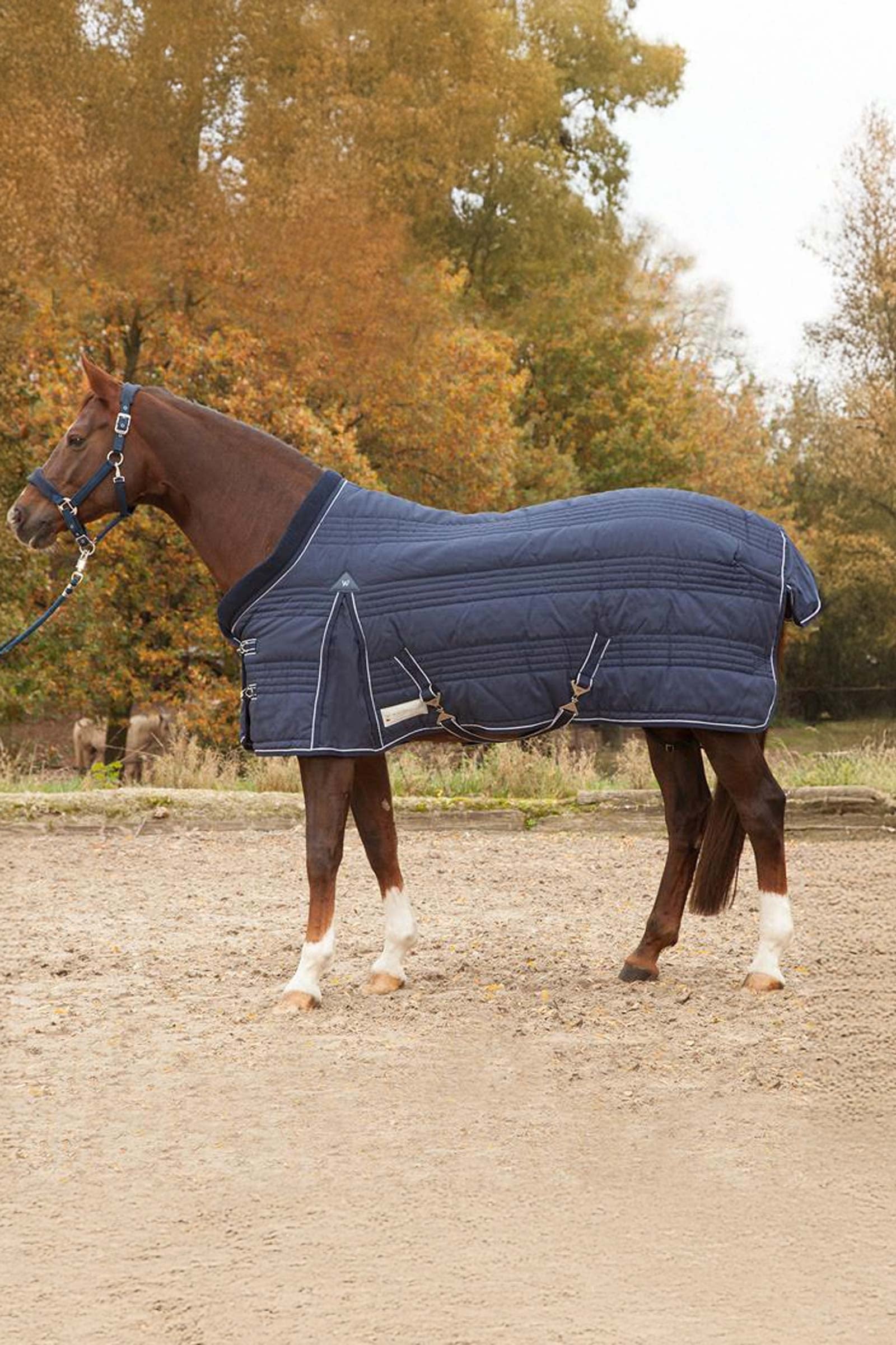 Waldhausen Stable Rug comfort Line 300g Pferdedecken