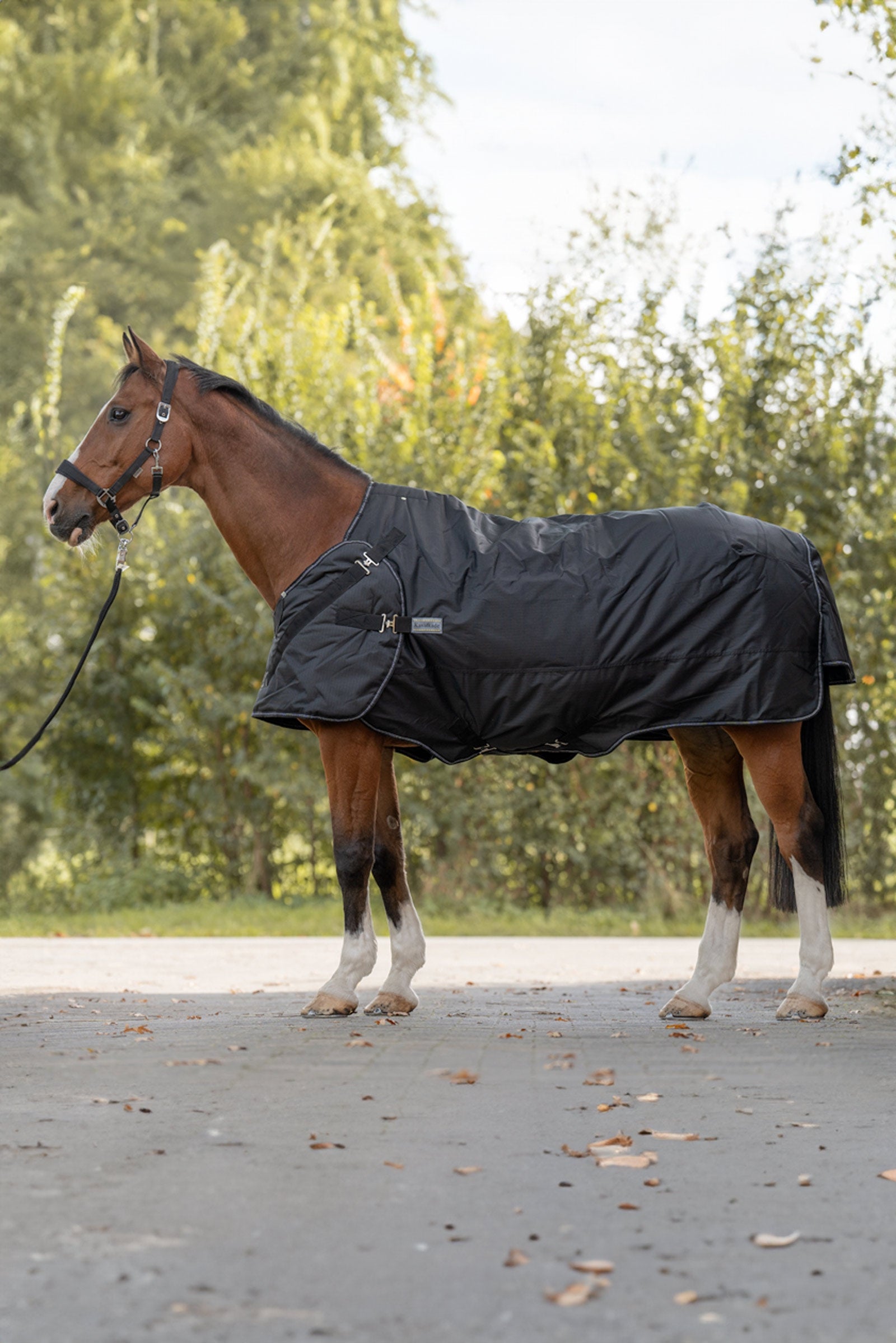 Kavalkade Halifax 2in1 Turnout and Walker Rug 200g Horse Rugs