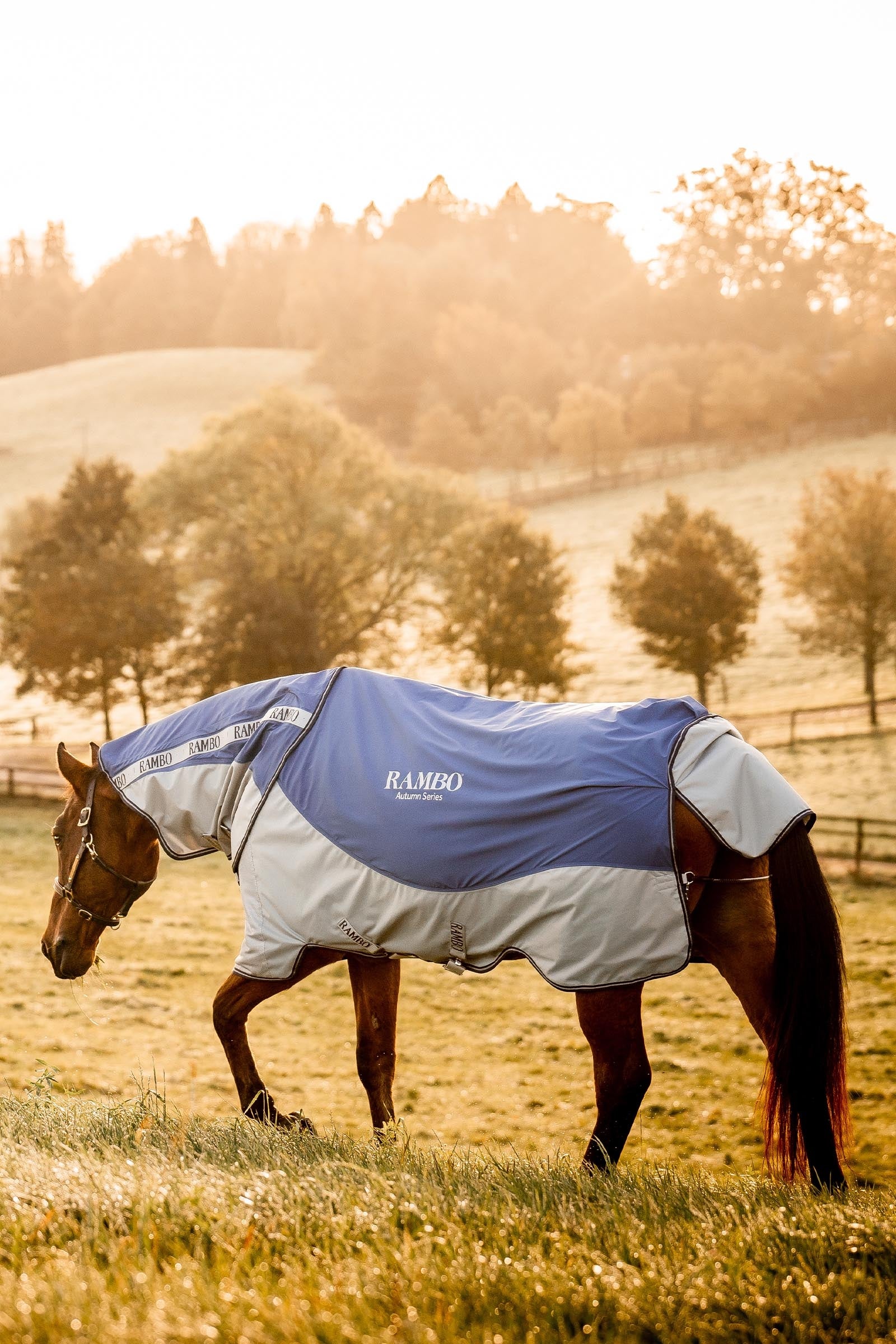 Lifestyle shot 4