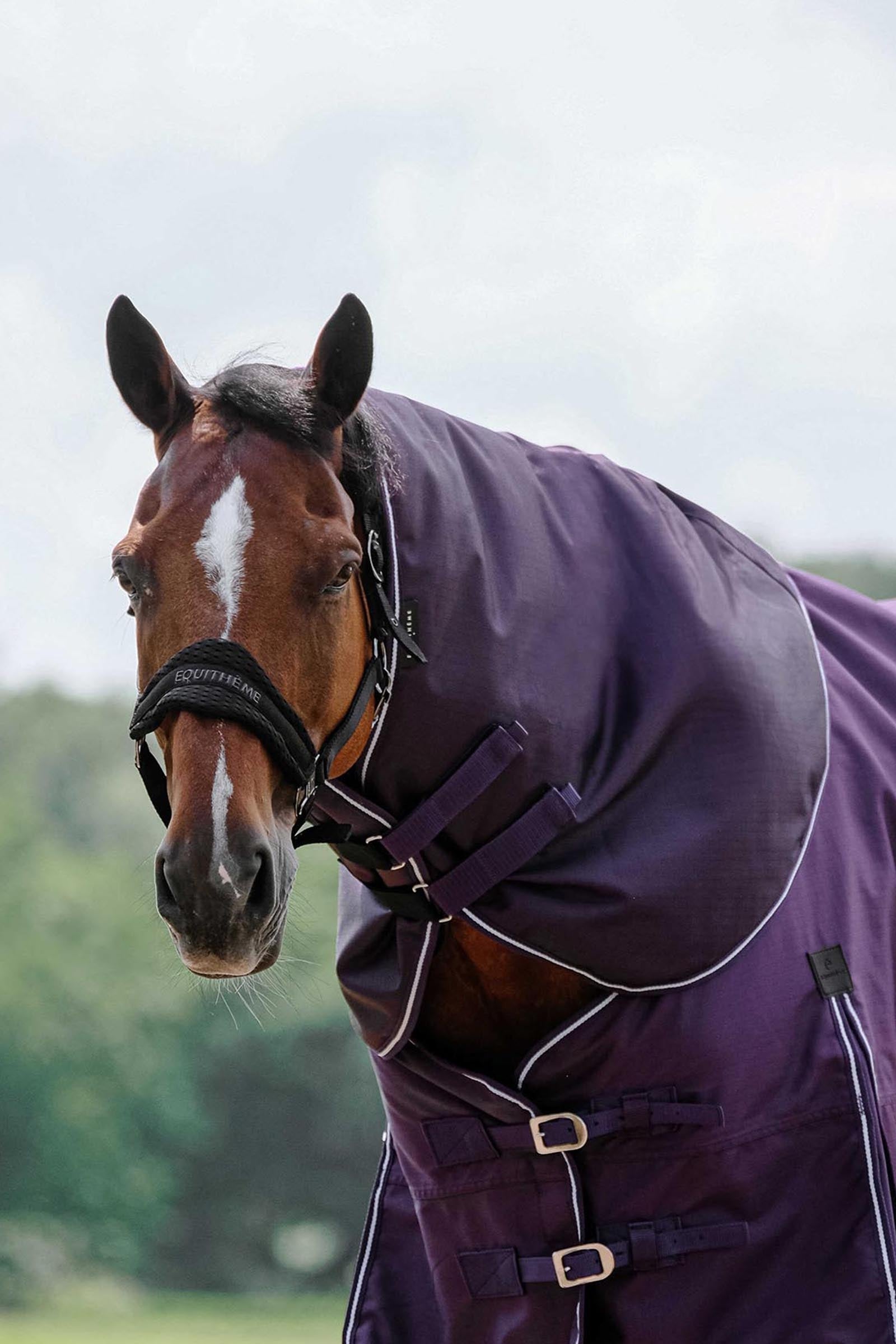 Equi Theme EQUITHÈME TYREX 600D Neck Cover Plume 200 g Horse Rugs