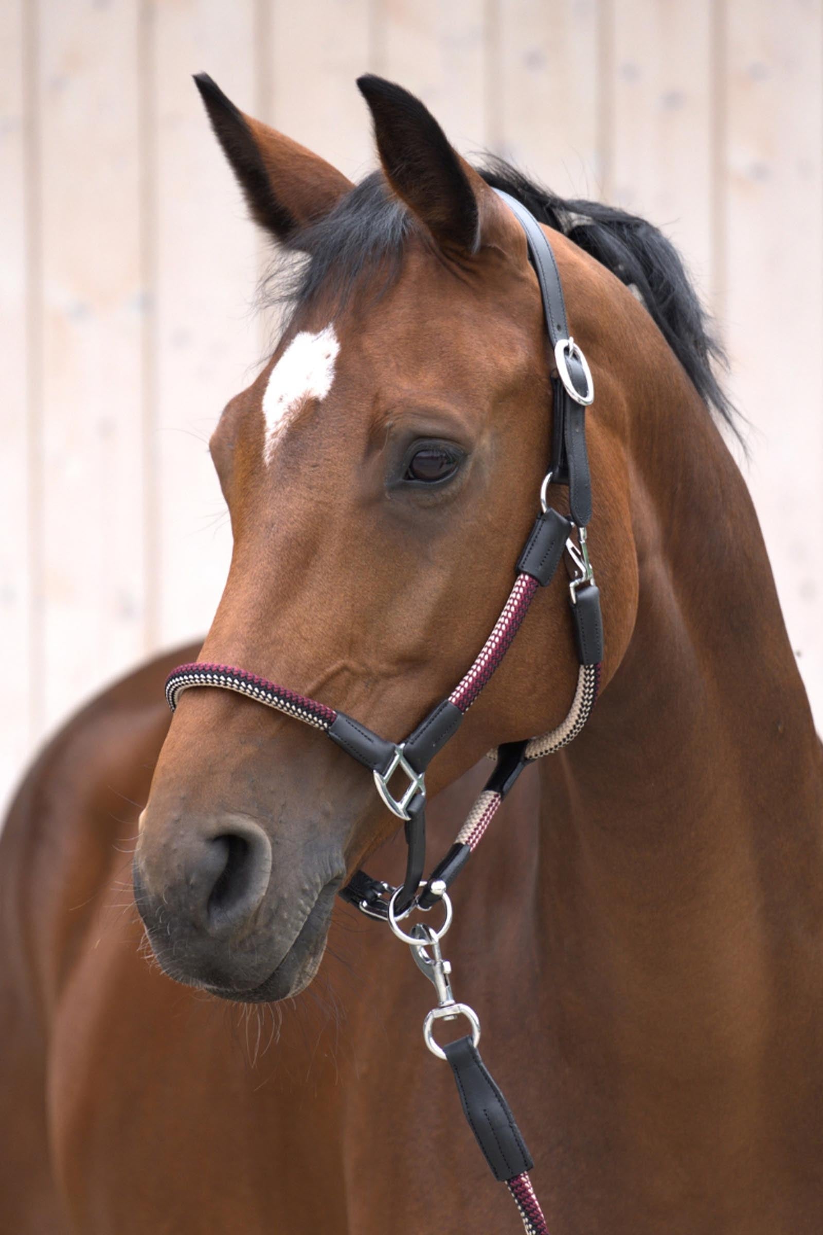 Kavalkade Cavo Rope/Leather Halter Set With Lead Rope Halters & Leads