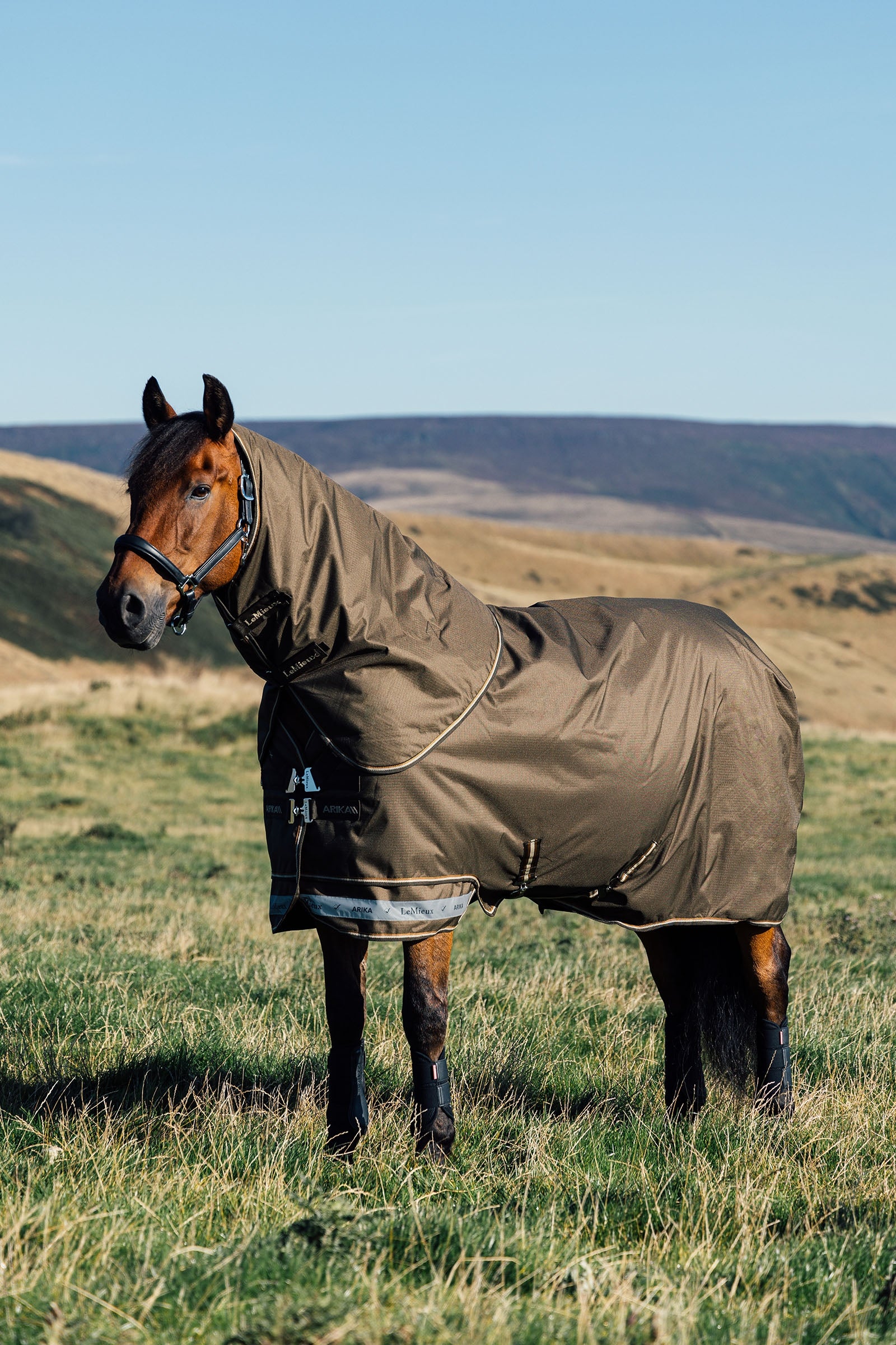 LeMieux Arika Ripstop Turnout Rug With Detachable Neck, 0 g Horse Rugs