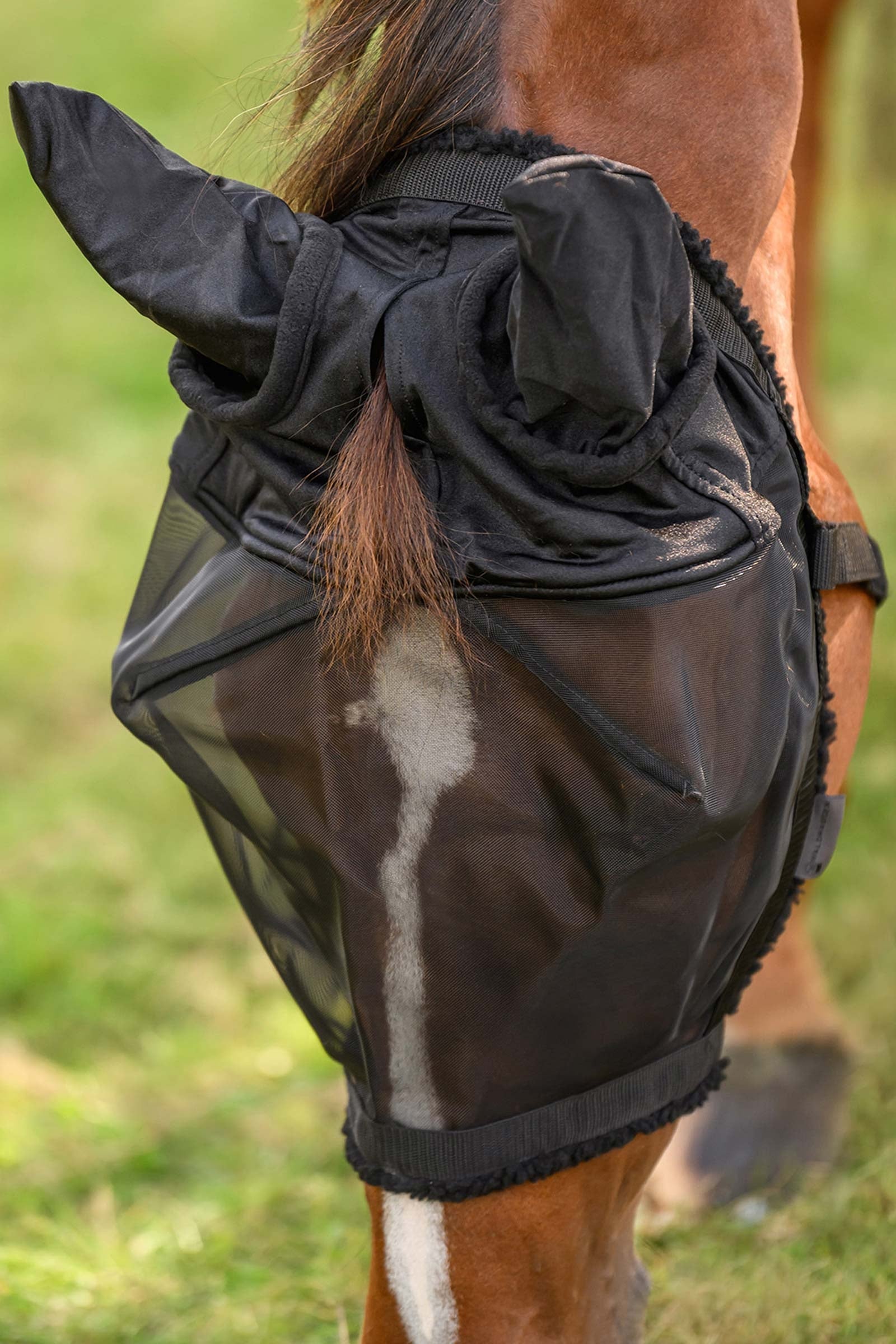 Waldhausen Grazing Halter With Fly Mask Antifly Protection for Horses