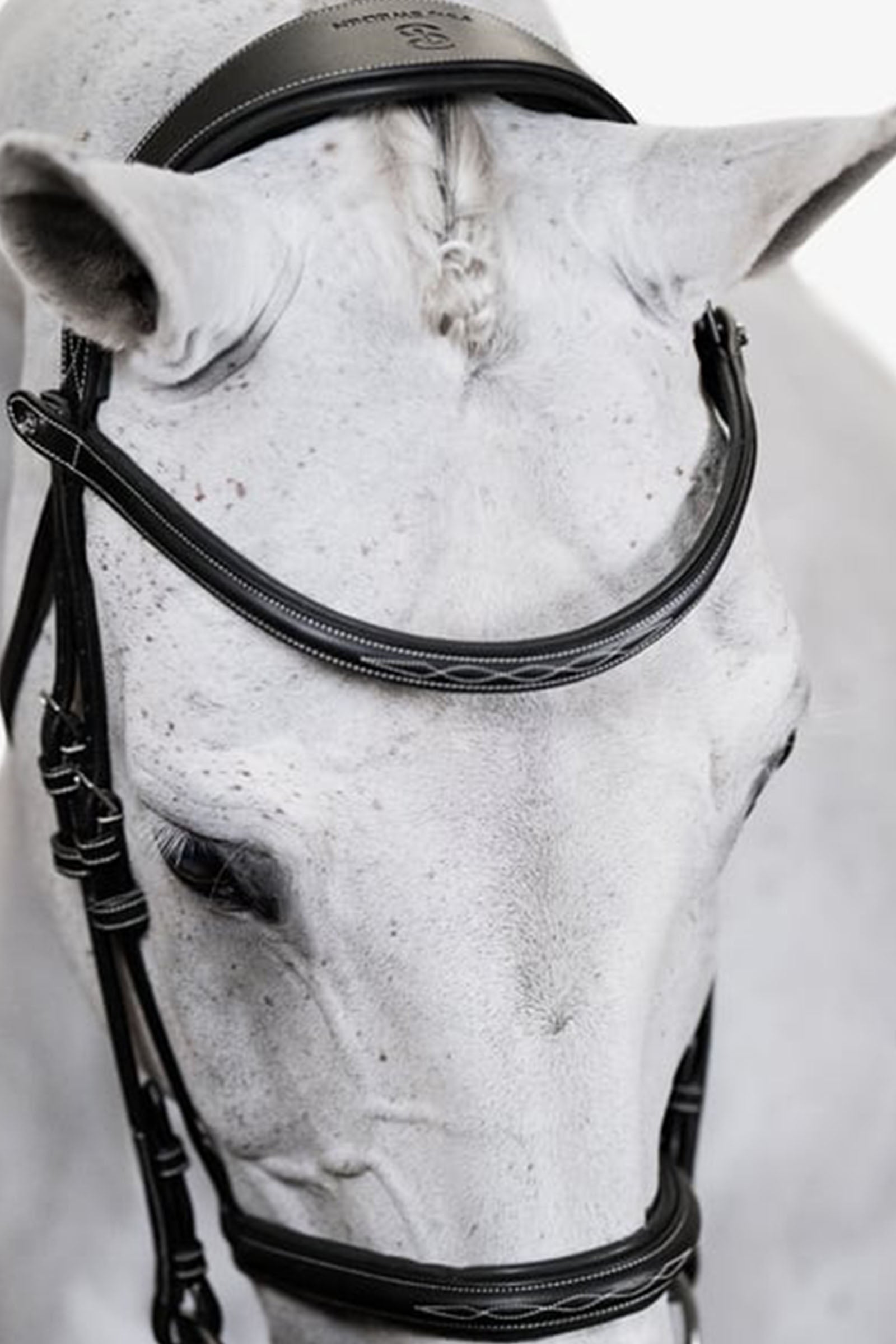 PS of Sweden Bridle Ocala Bridles & Reins