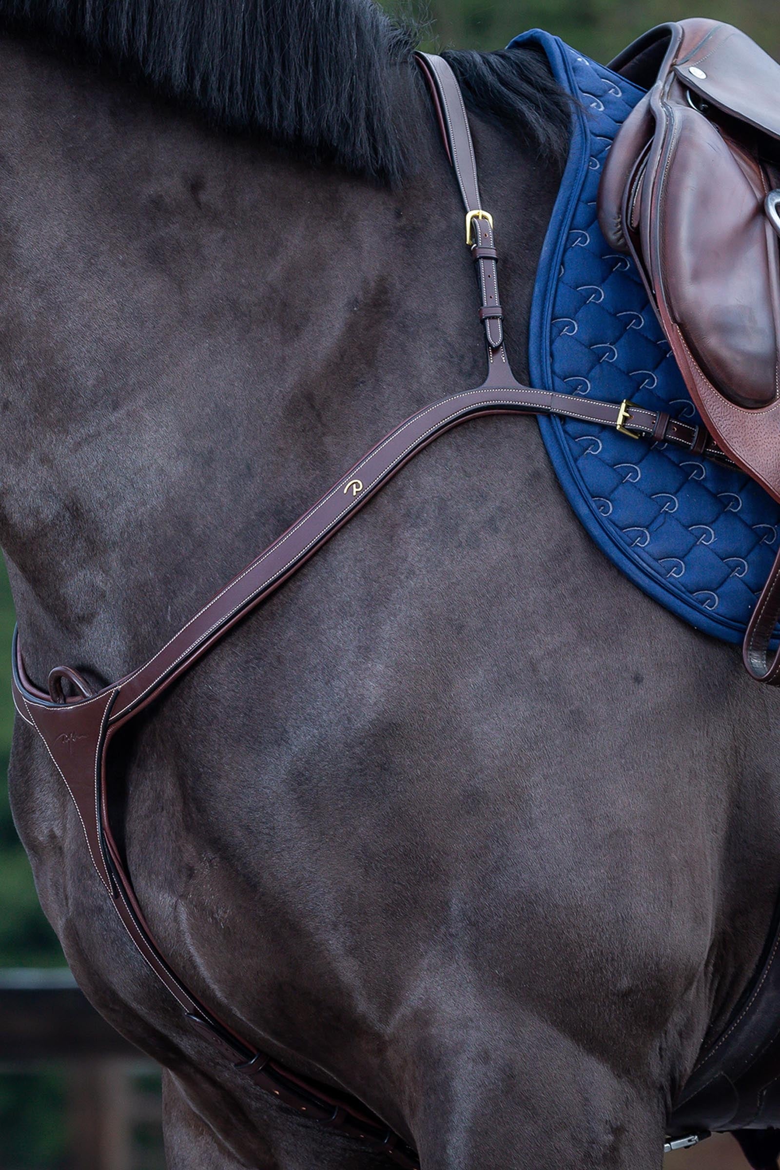 Dy'on D Collection Vorderzeug mit langer Brücke Trensenzäume & Zügel