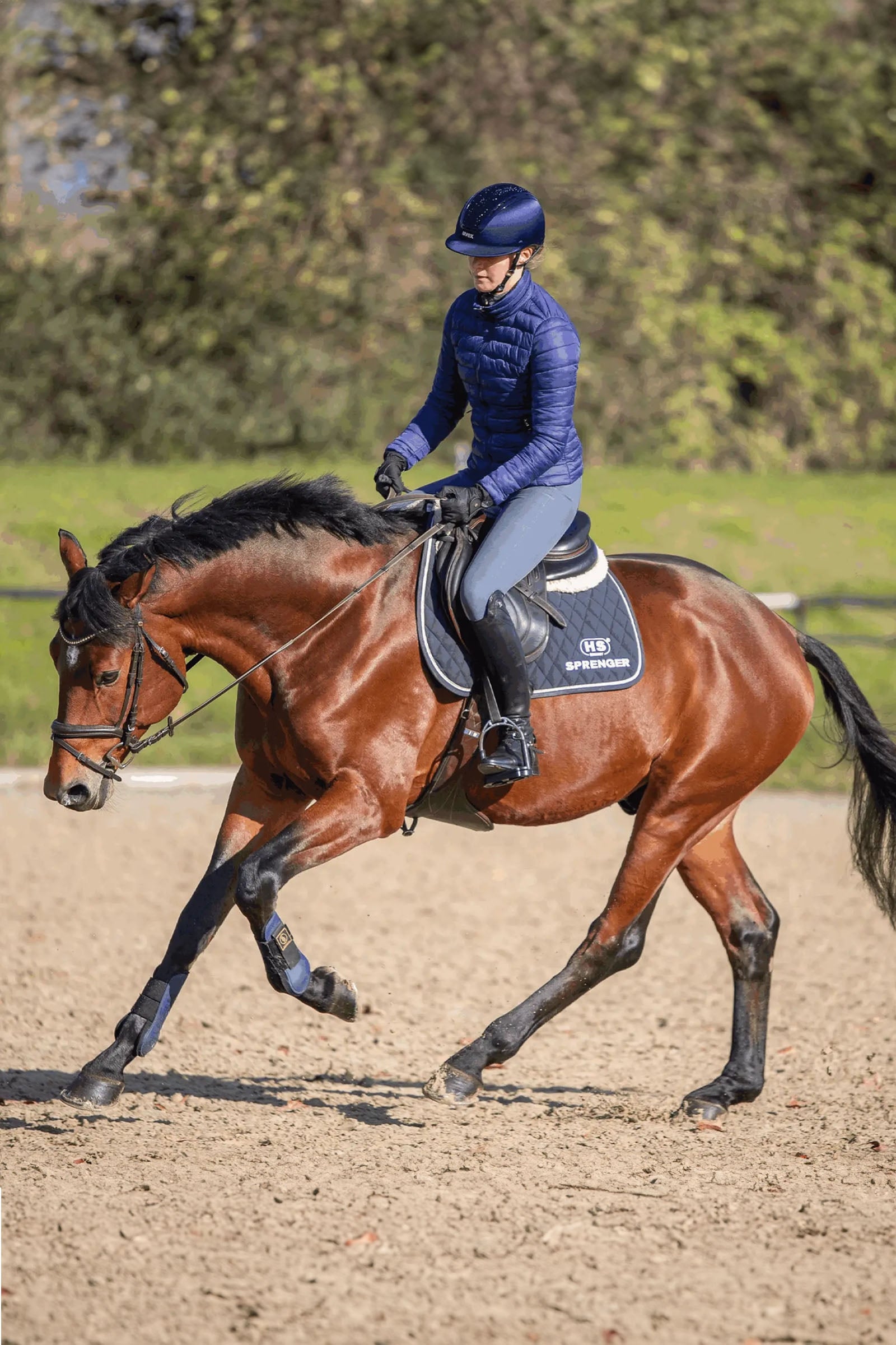 Sprenger Novocontact Eggbutt Bit D-Rings, Single Jt. 14mm, Sensogan Horse Bits