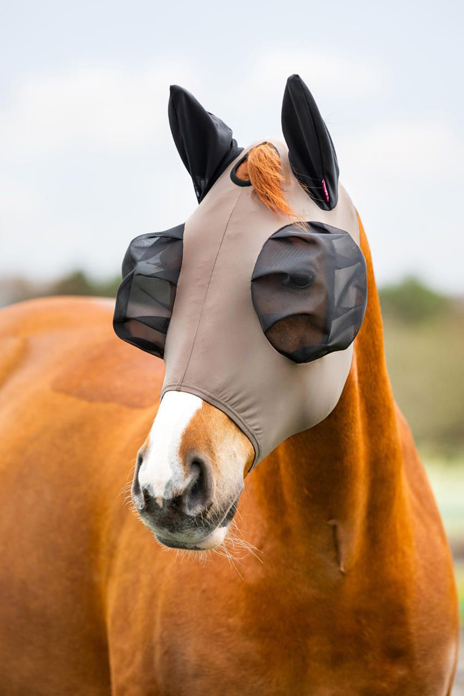 LeMieux Bug Relief Half Mask Antifly Protection for Horses