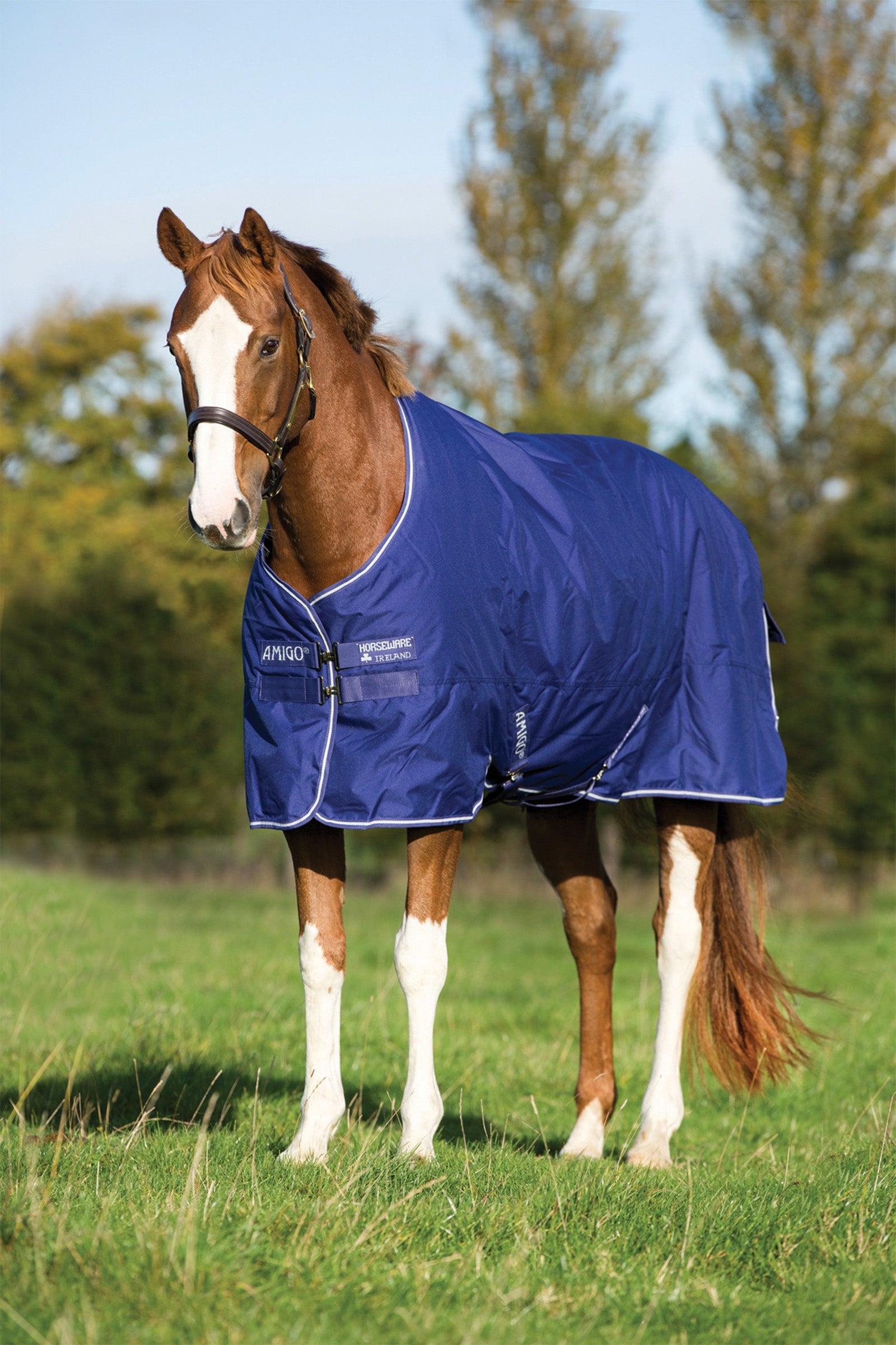 Horseware Amigo Hero 900 Plus Medium Turnout Rug, 200g Horse Rugs