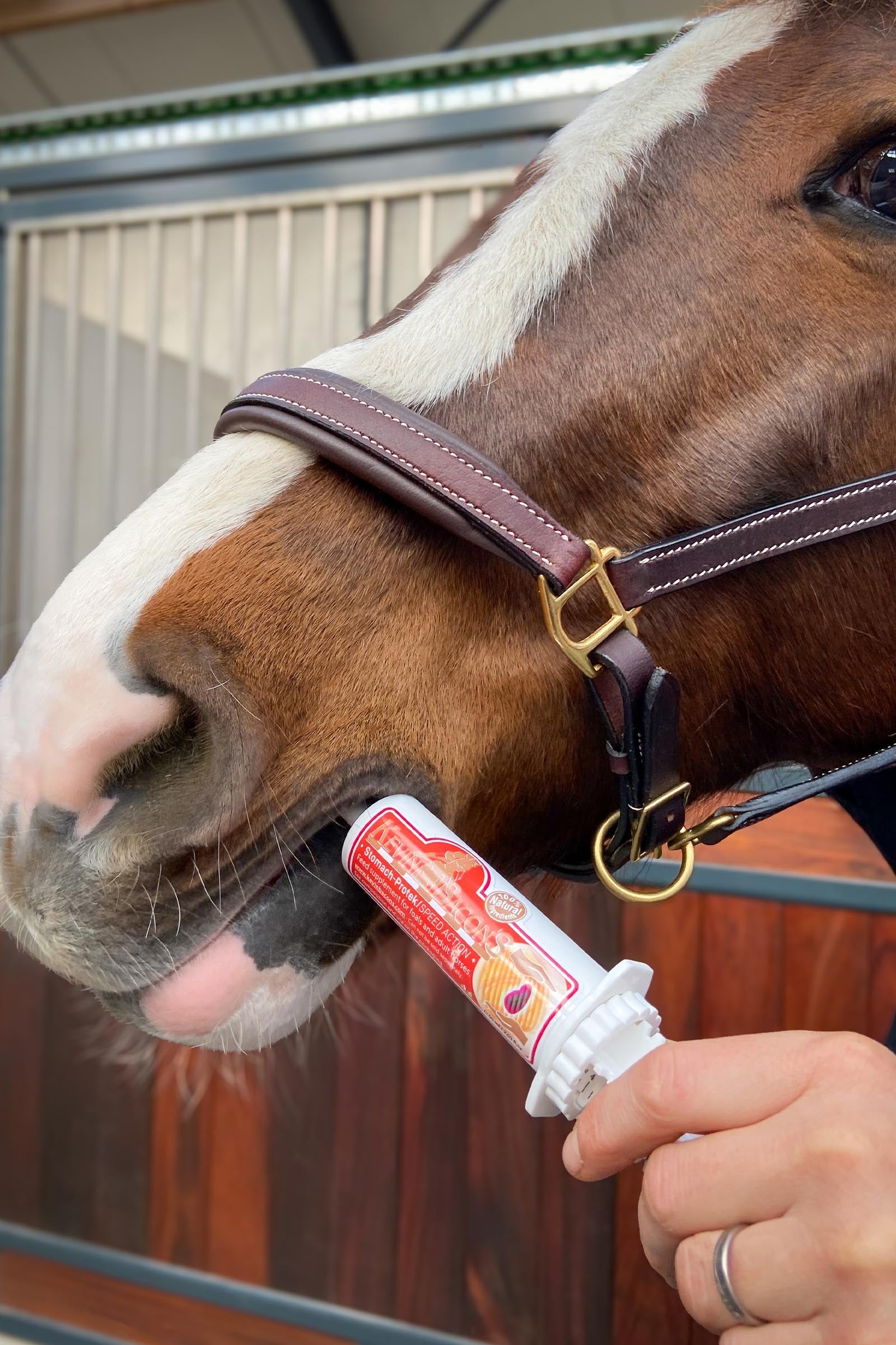 Kevin Bacon´s Kevin Bacon's Stomach-Protek Speed Action Syringes, 6 x 60 ml Horse Feed & Nutrition