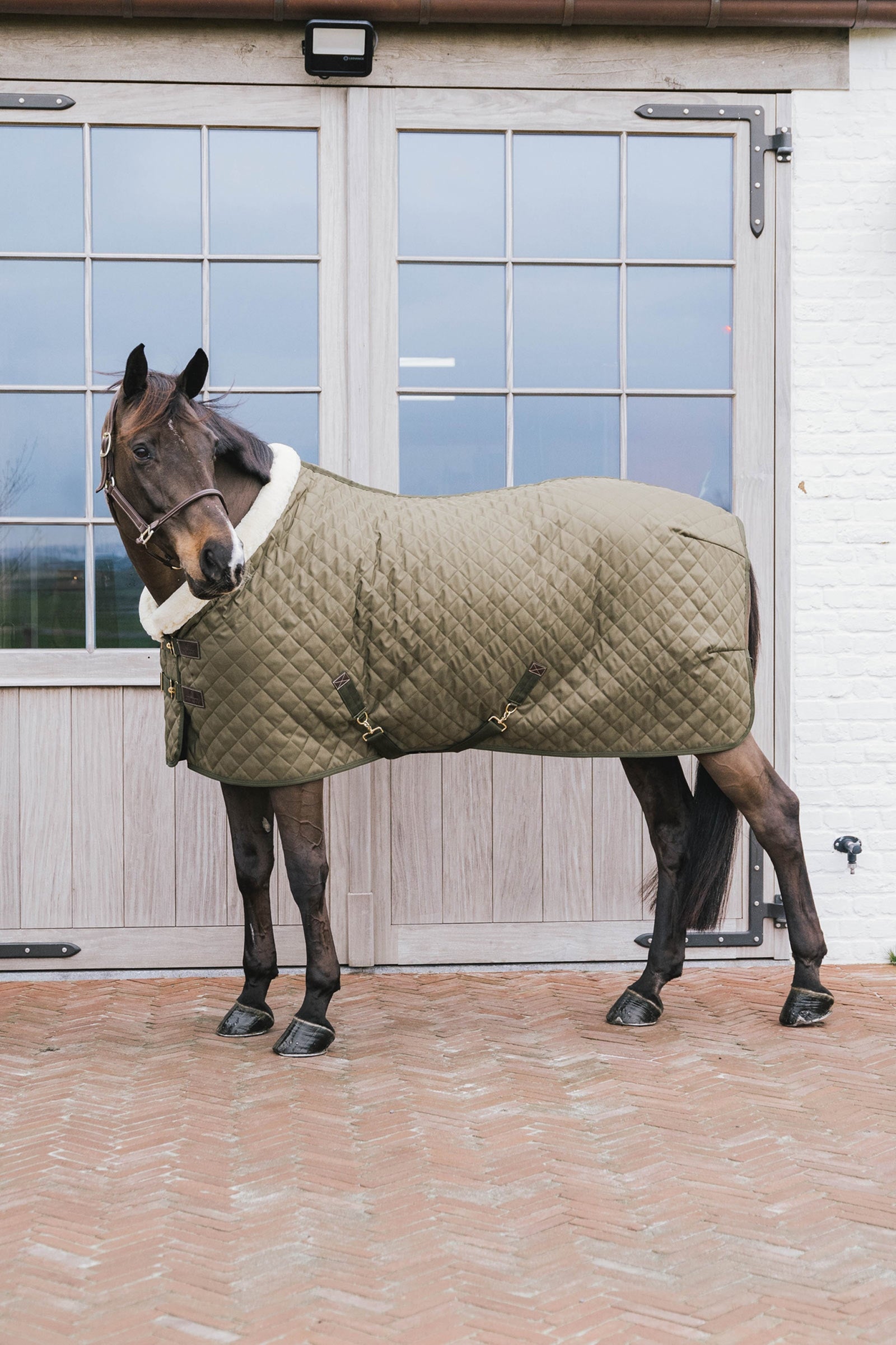 Kentucky Horsewear Show Rug Turnierdecke, 160g Pferdedecken
