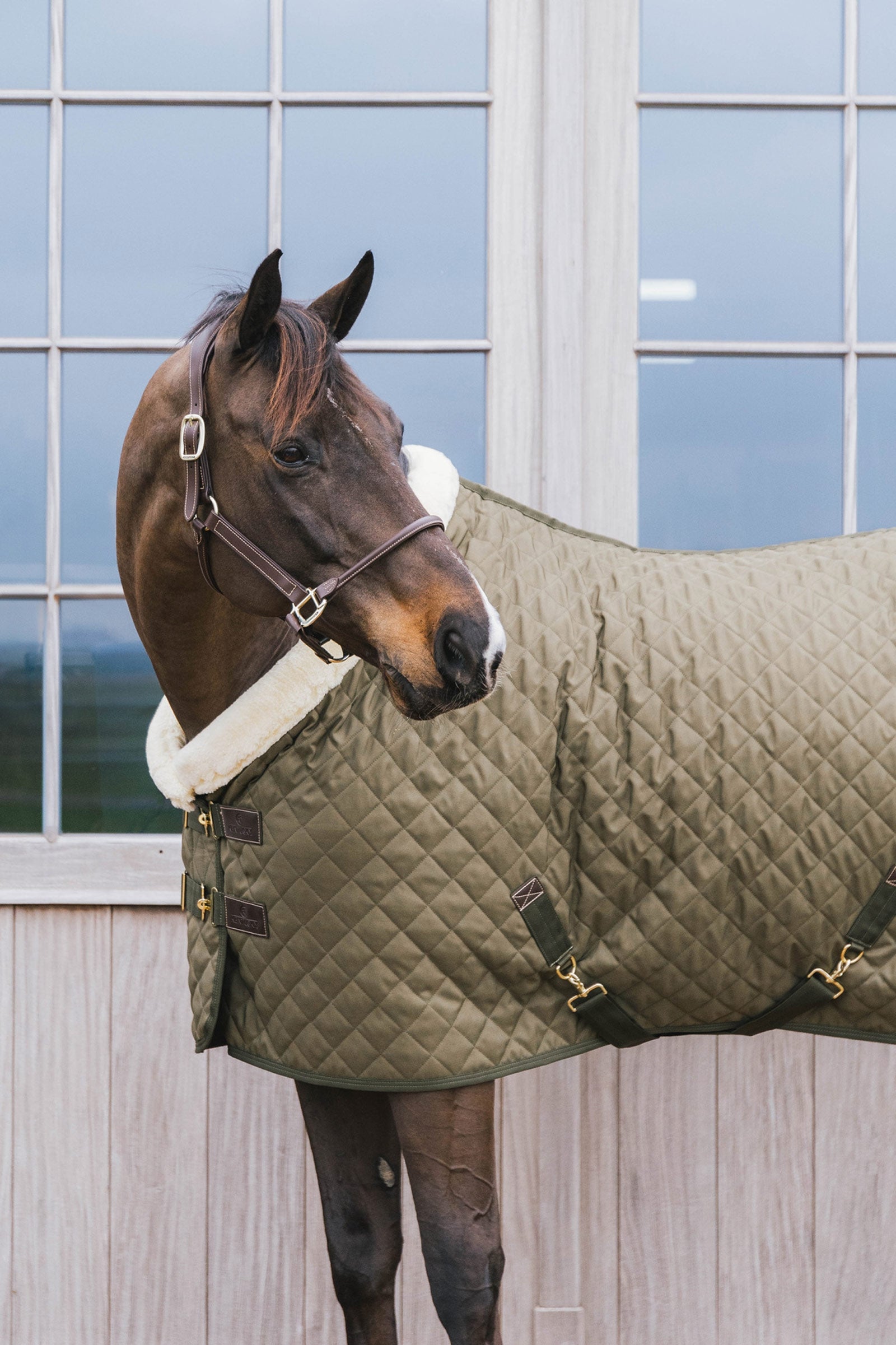 Kentucky Horsewear Show rug 160g Horse Rugs