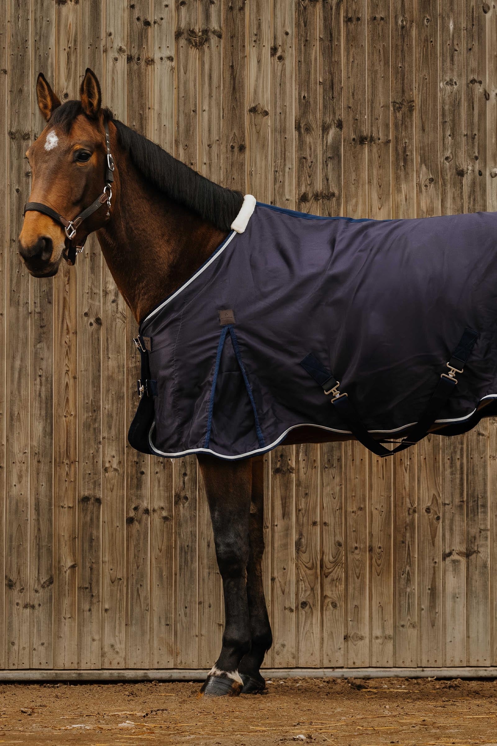 EQUITHÈME Wave Sheet Horse Rugs