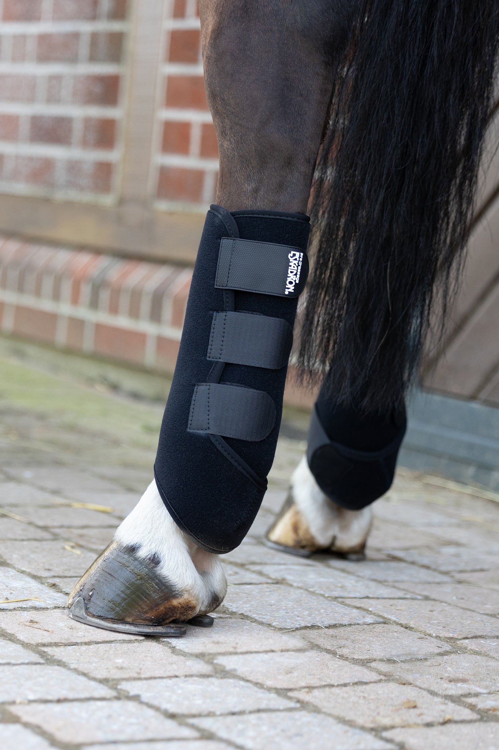 Eskadron Platinum 25 Pro Dressage Hind Tendon Boots Leg Protection & Hoof Protection for Horses