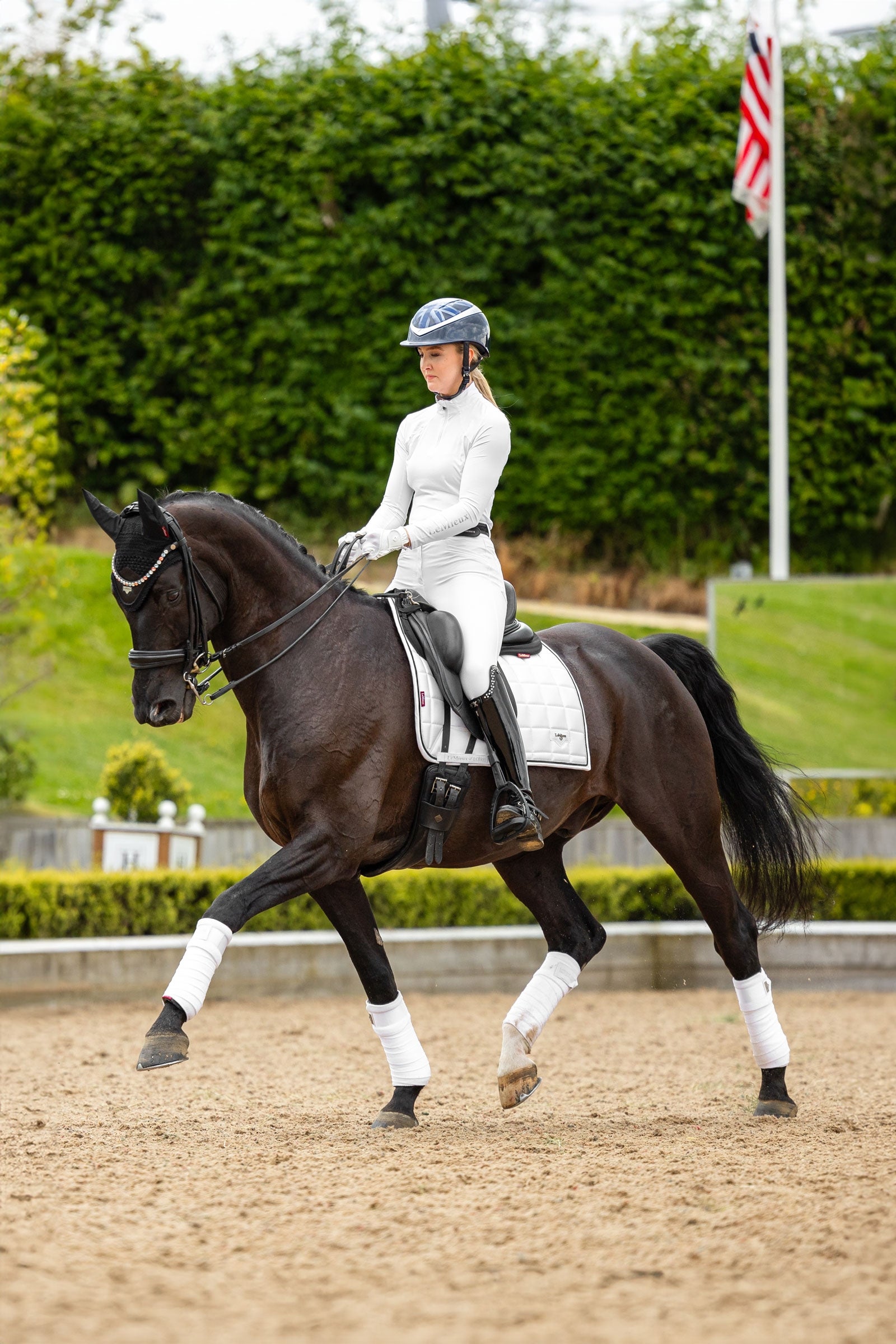 LeMieux Loire Classic Square Dressage Saddle Pad Saddle Pads