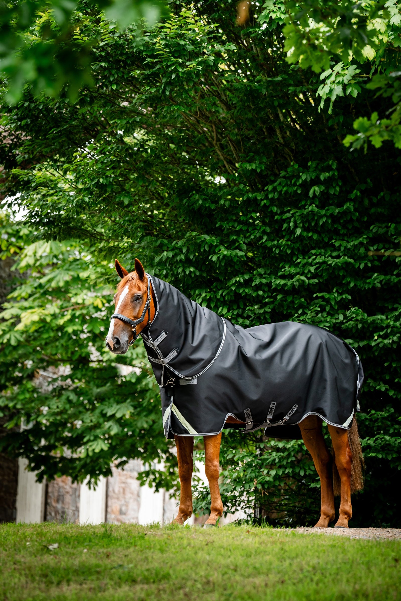 Horseware Rambo 1680D Plus Turnout Rug, 100 g Horse Rugs