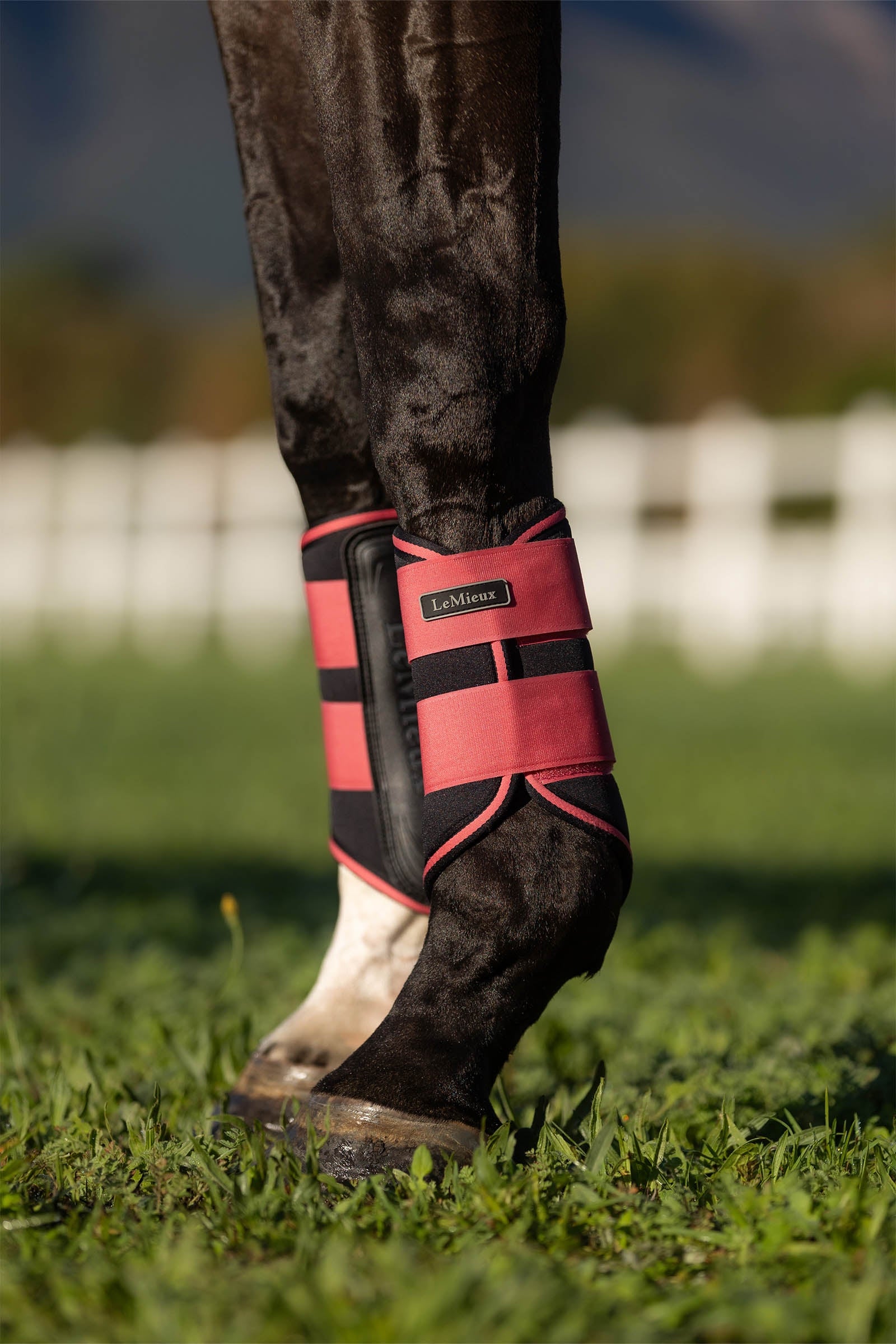 LeMieux Grafter Brushing Boots Leg Protection & Hoof Protection for Horses
