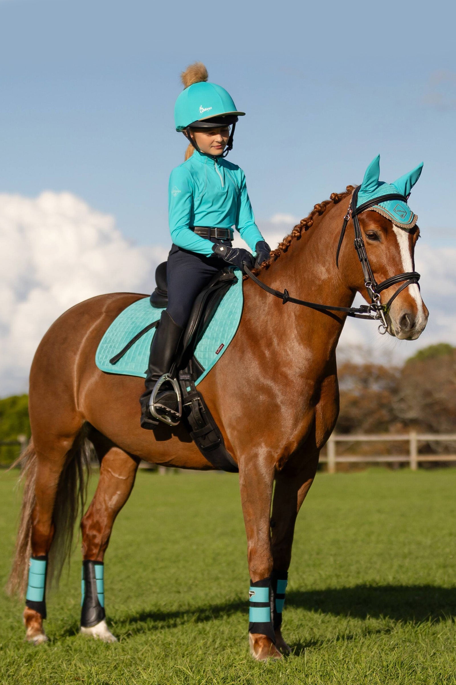 LeMieux Grafter Brushing Boots Leg Protection & Hoof Protection for Horses