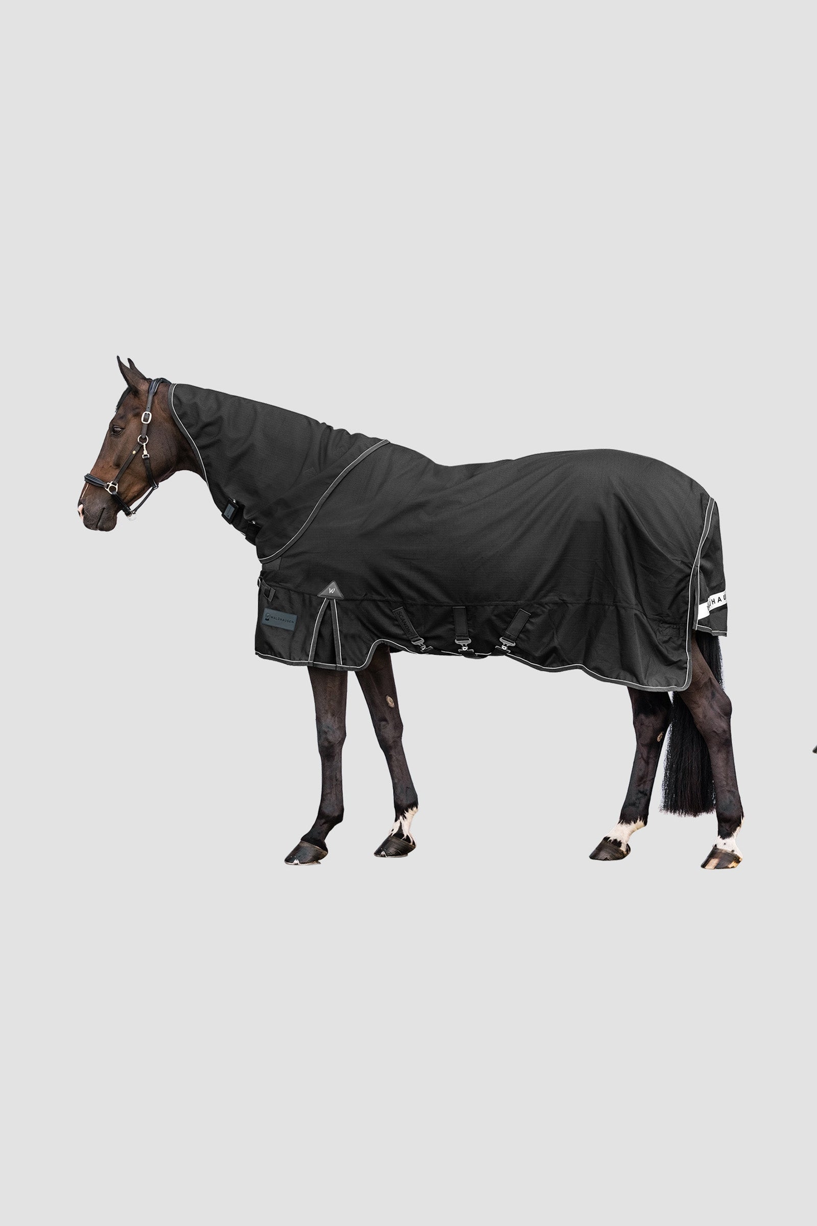 Waldhausen Outdoor Neck Rug Scandic Light Horse Rugs
