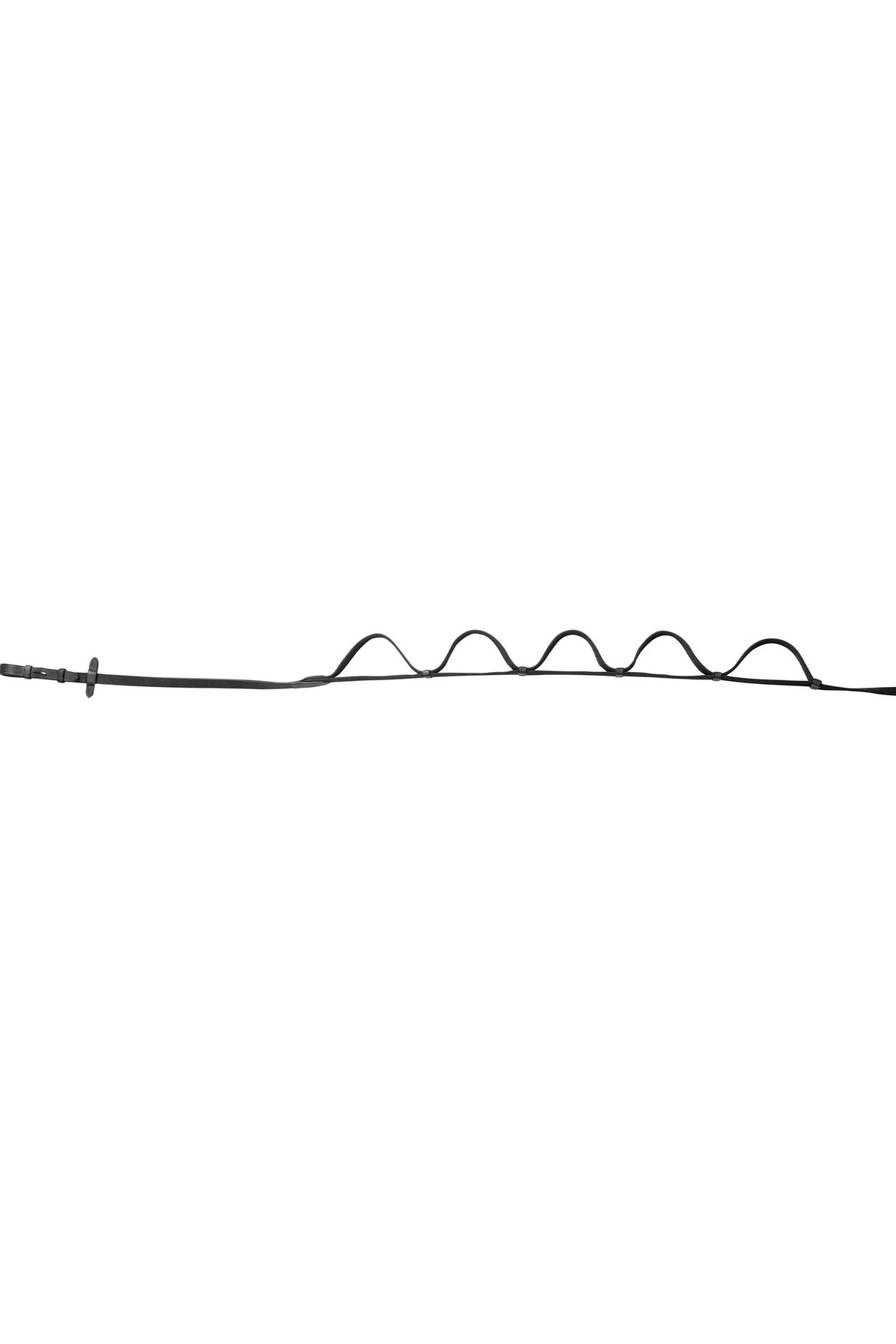 ERIC THOMAS PRO Web Reins With Handles Bridles & Reins