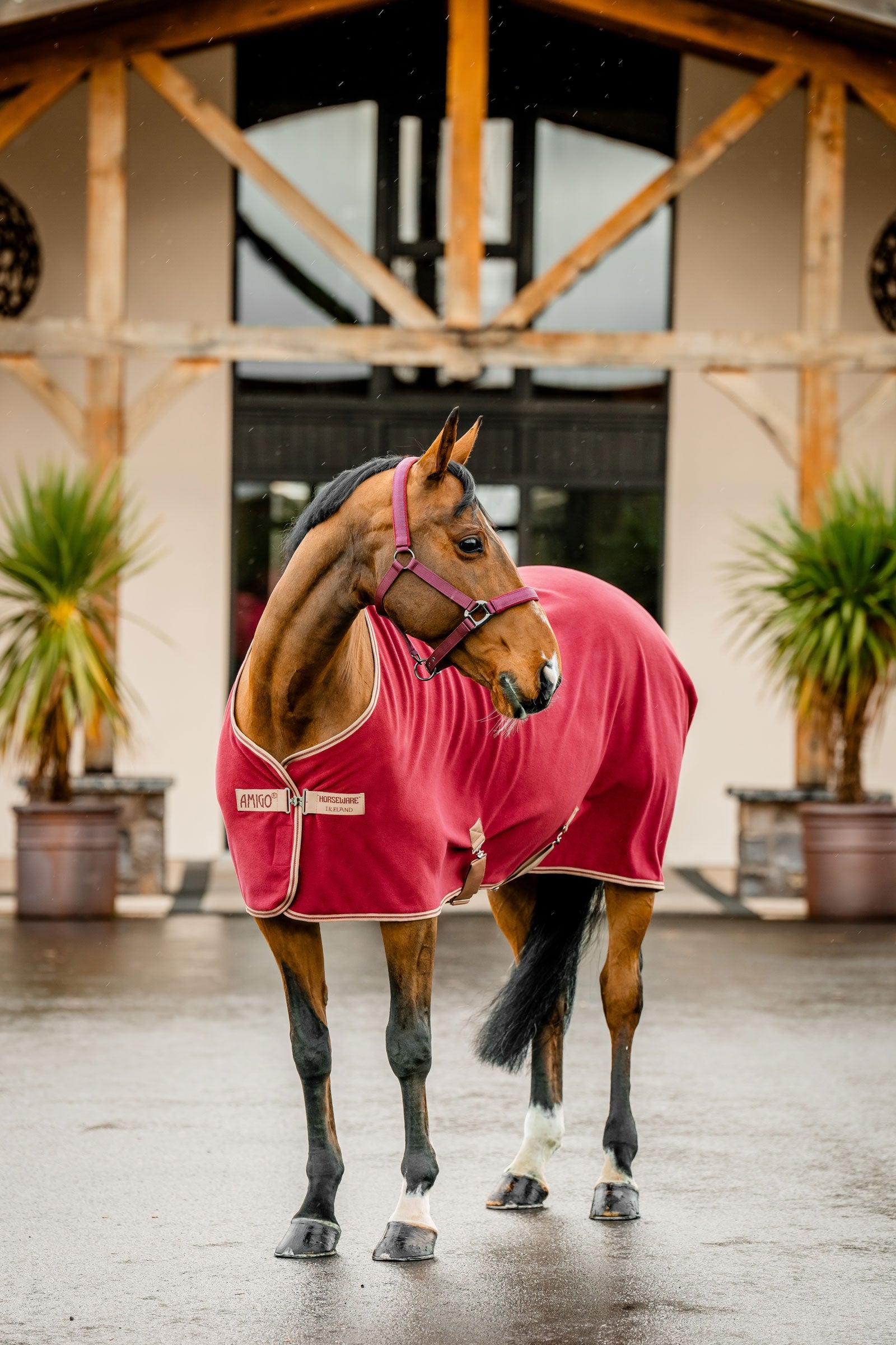 Horseware Amigo Fleecedecke Pferdedecken