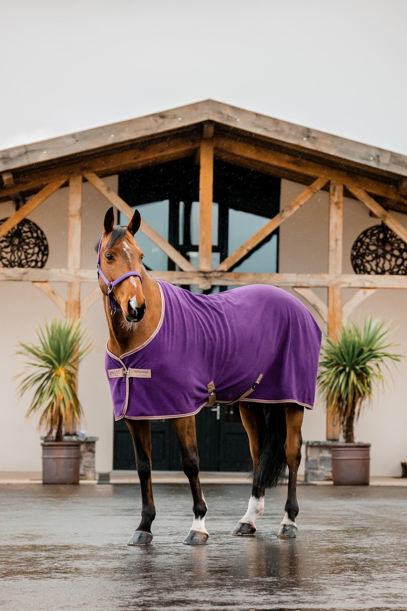 Horseware Amigo Fleecedecke Pferdedecken