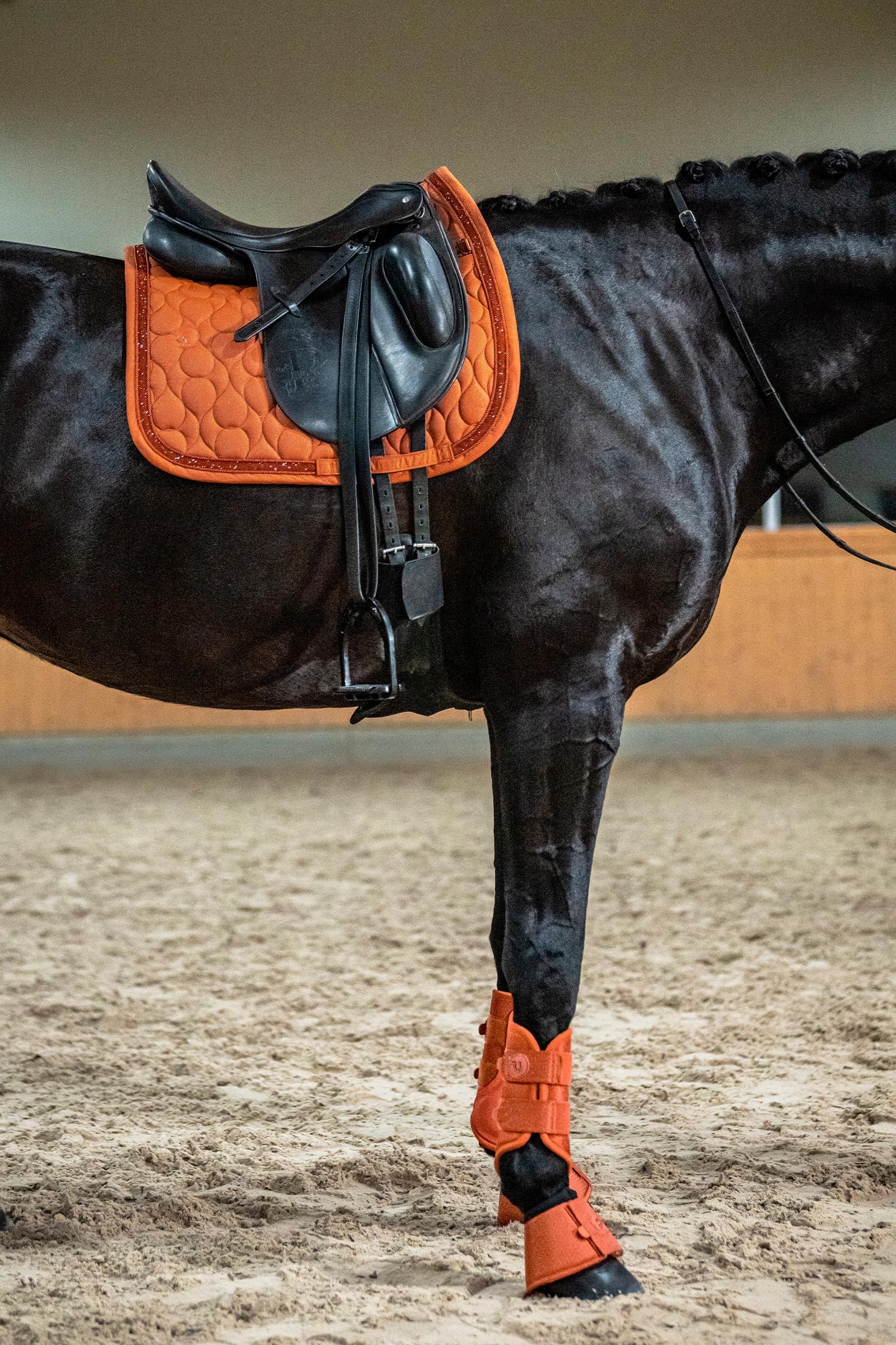 Eskadron Platinum 26 1200D Bell Boots Leg & Hoof Protection