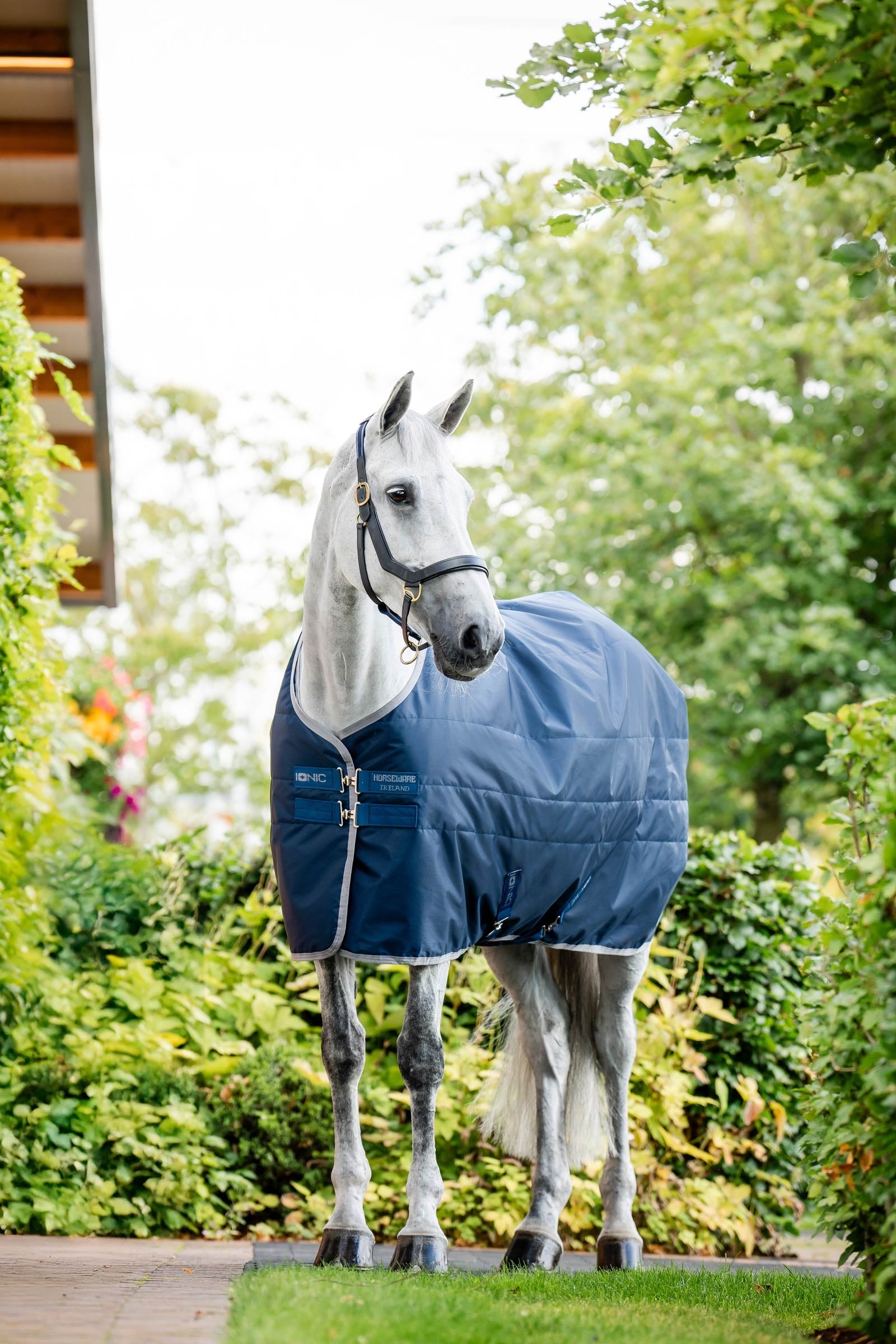 Horseware Ionic Therapy Stalldecke, 50g Pferdedecken