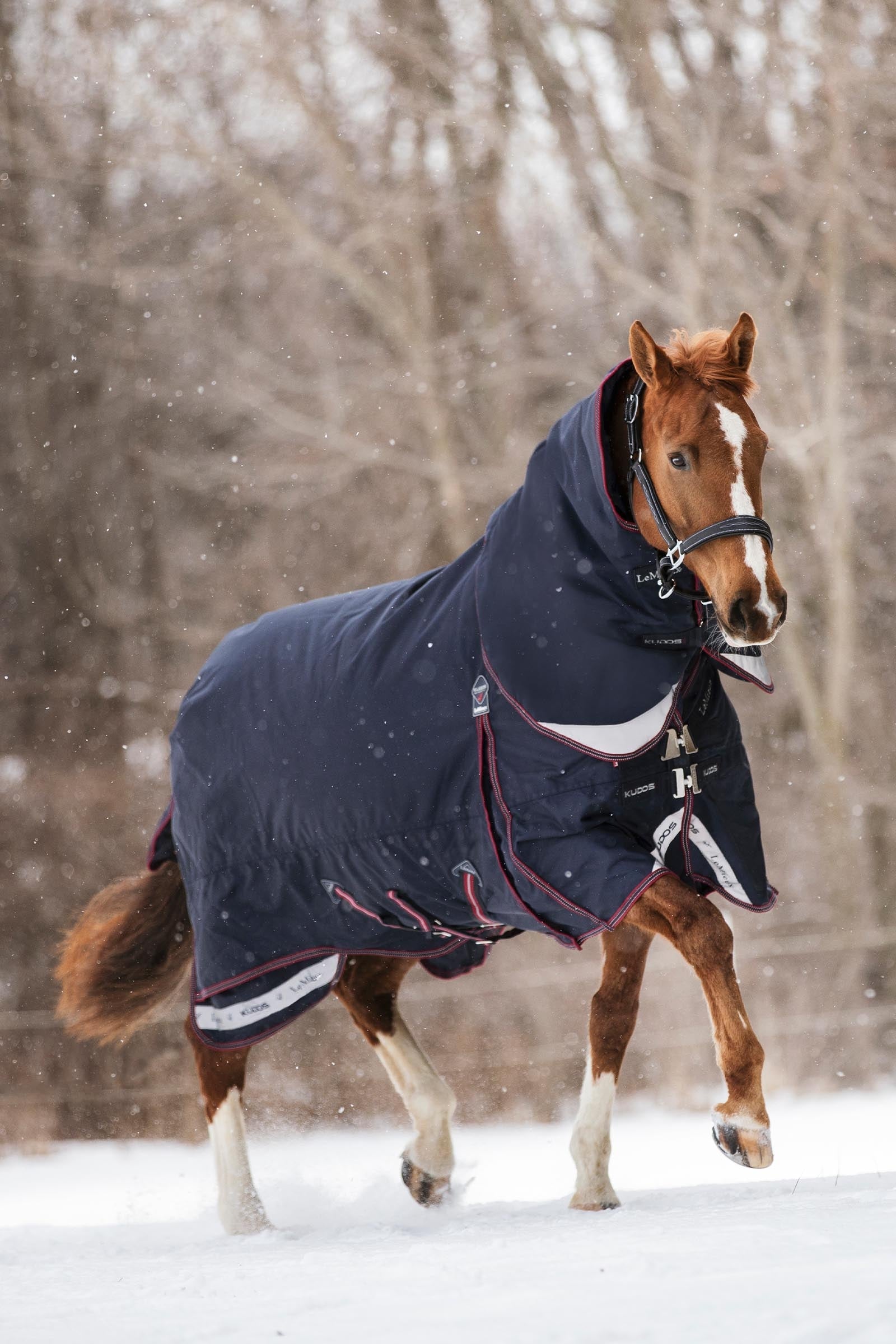 LeMieux Kudos Turnout Rug, 200 g Pferdedecken