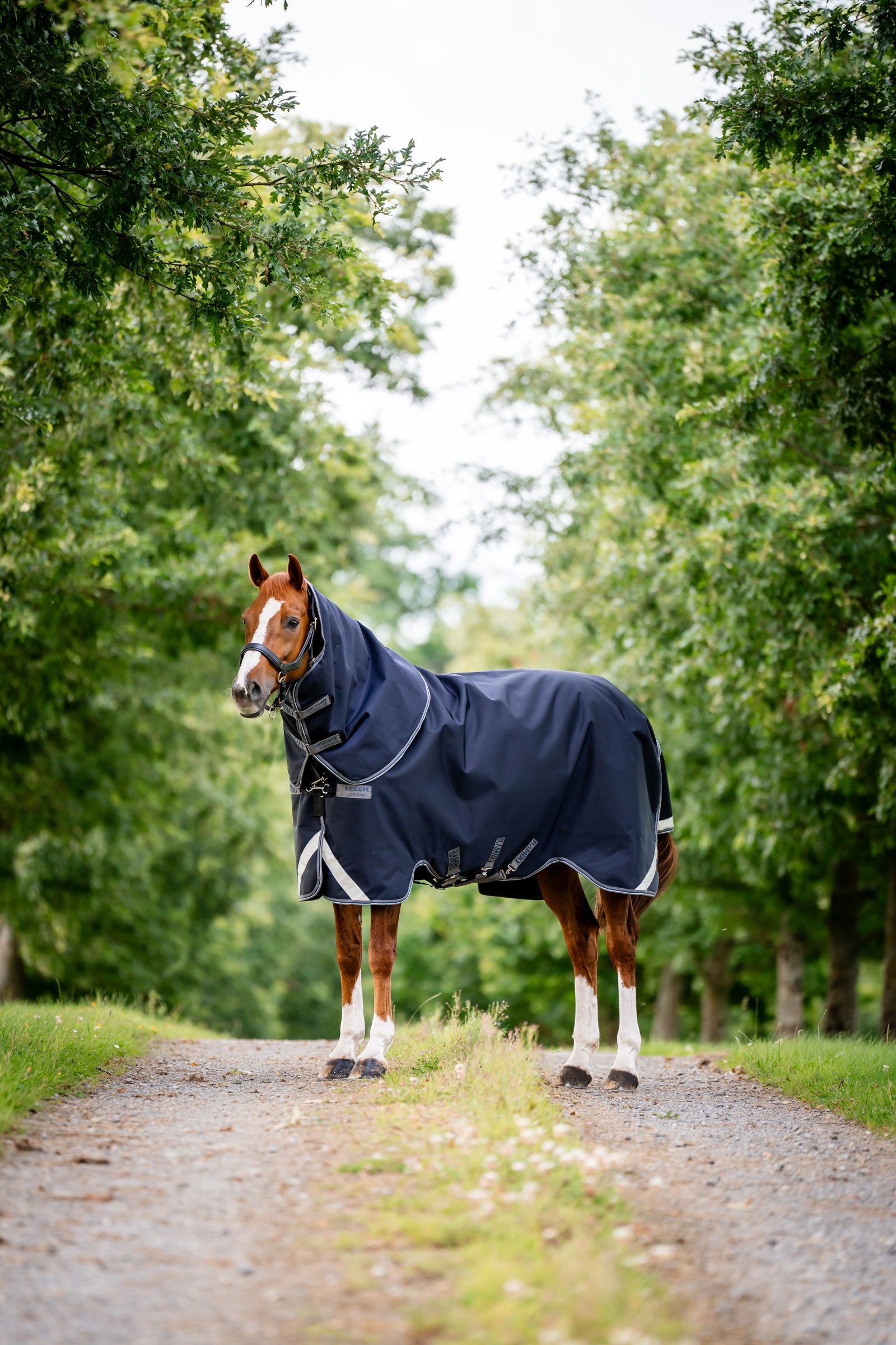 Horseware Rambo 1680D Plus Vario Layer Outdoordecke, 250 g Pferdedecken