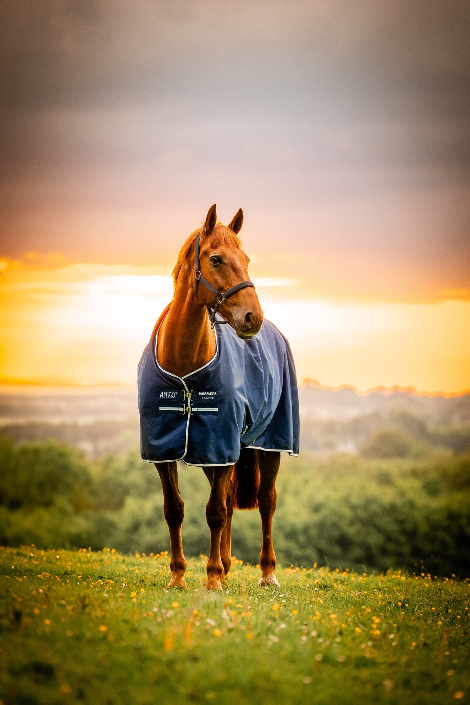 Horseware Amigo Ripstop 900D Outdoordecke mit Fleecefutter, 50 g Pferdedecken