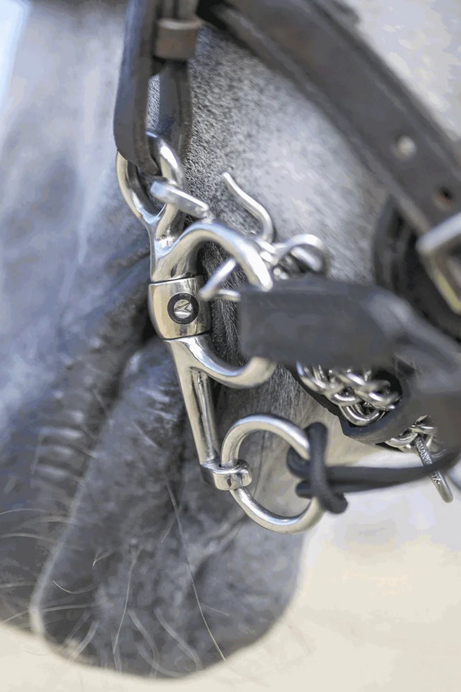 Sprenger Dynamic RS Pelham, Sensogan, double jointed, 16 mm Horse Bits