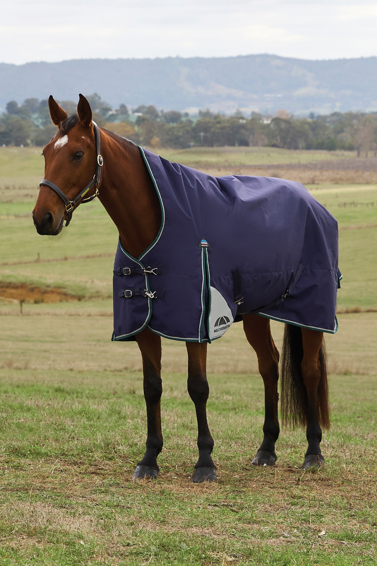 Weatherbeeta ComFiTecPlus Dynamic Turnout High Neck 100G Pferdedecken