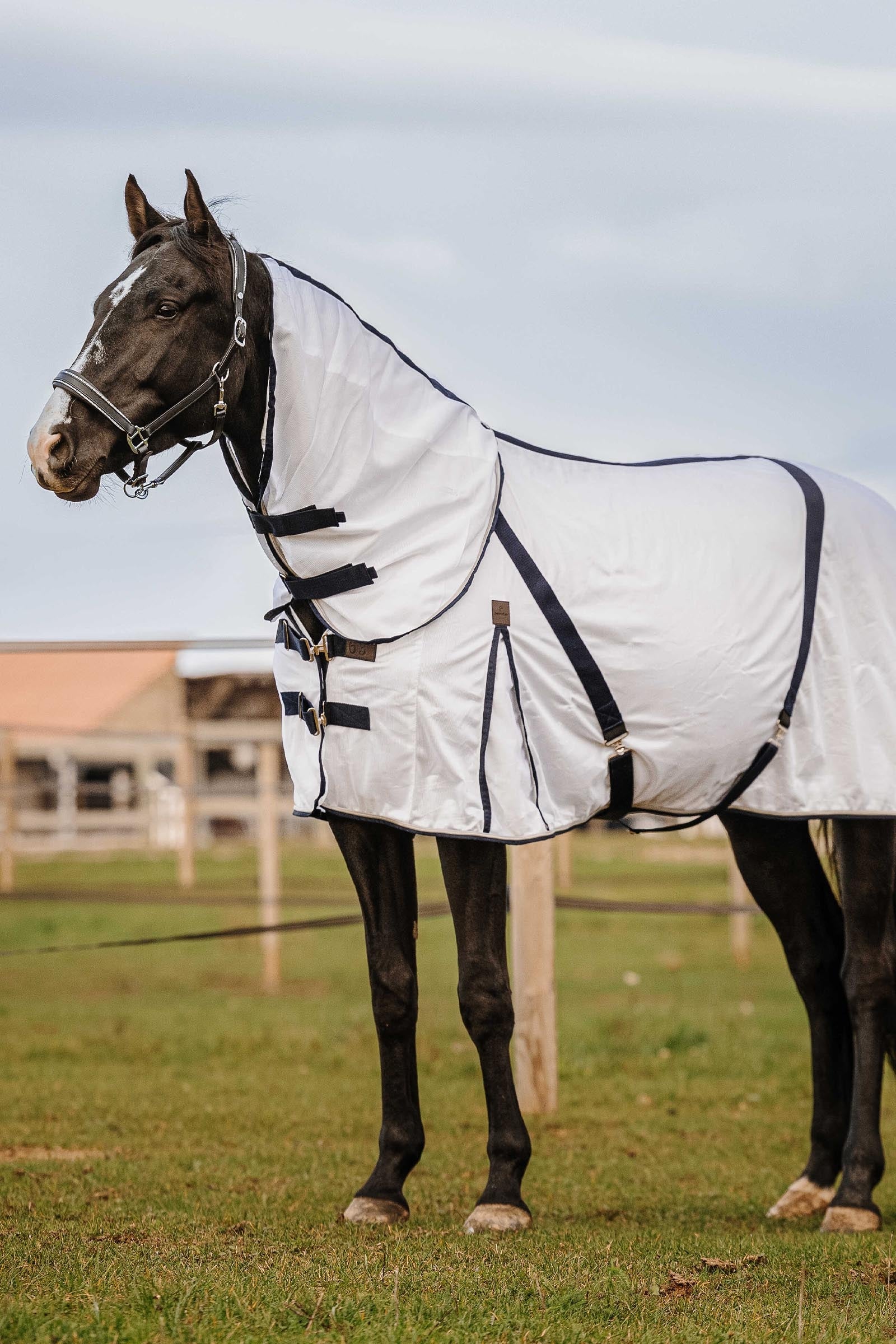 EQUITHÈME Mesh Anti-Insect Sheet Horse Rugs