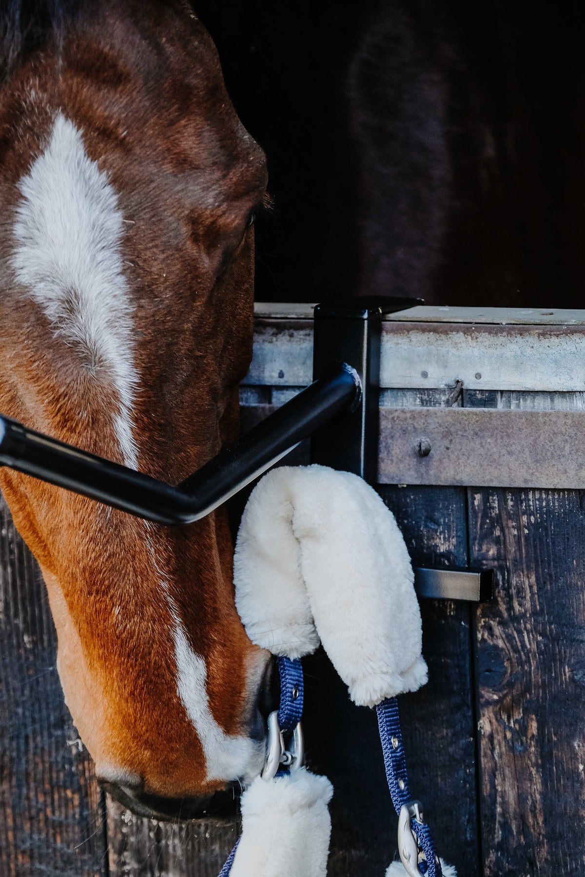 HIPPOTONIC Portable Saddle Rack Stable Equipment