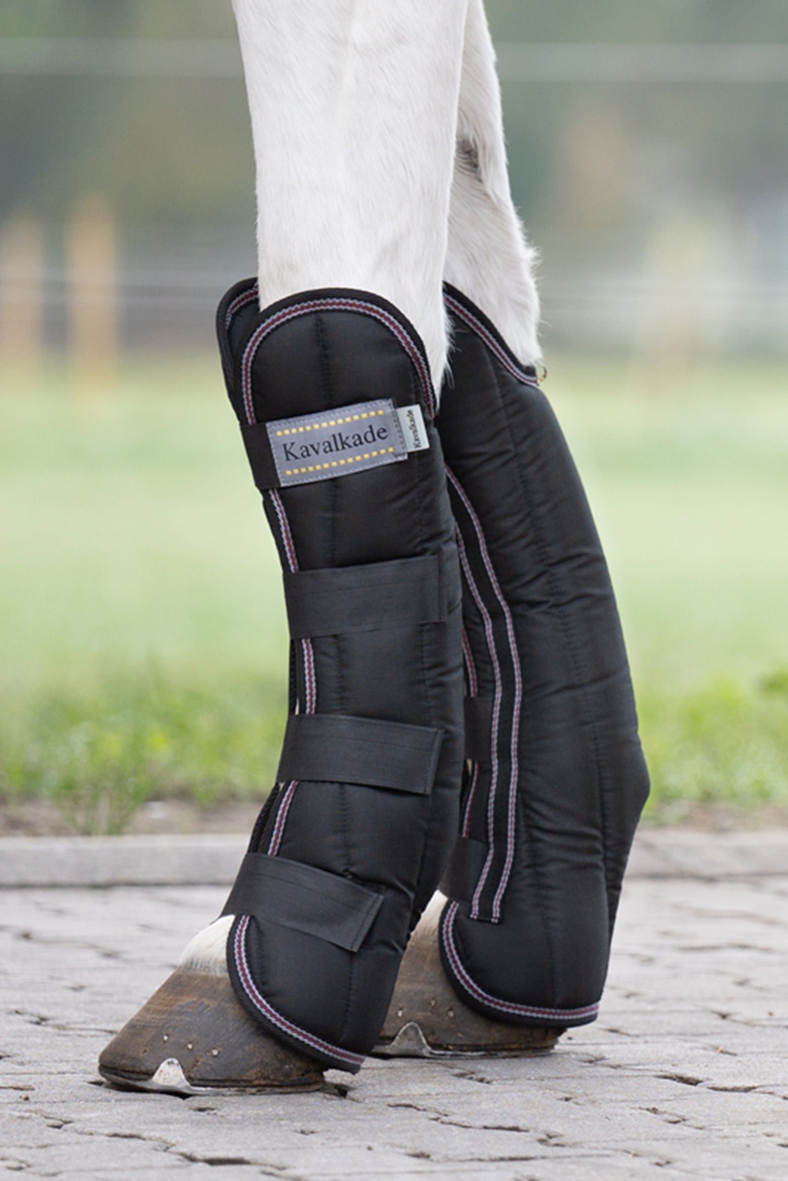 Kavalkade Montreal Travelling Boots (Set of 4) Leg Protection & Hoof Protection for Horses
