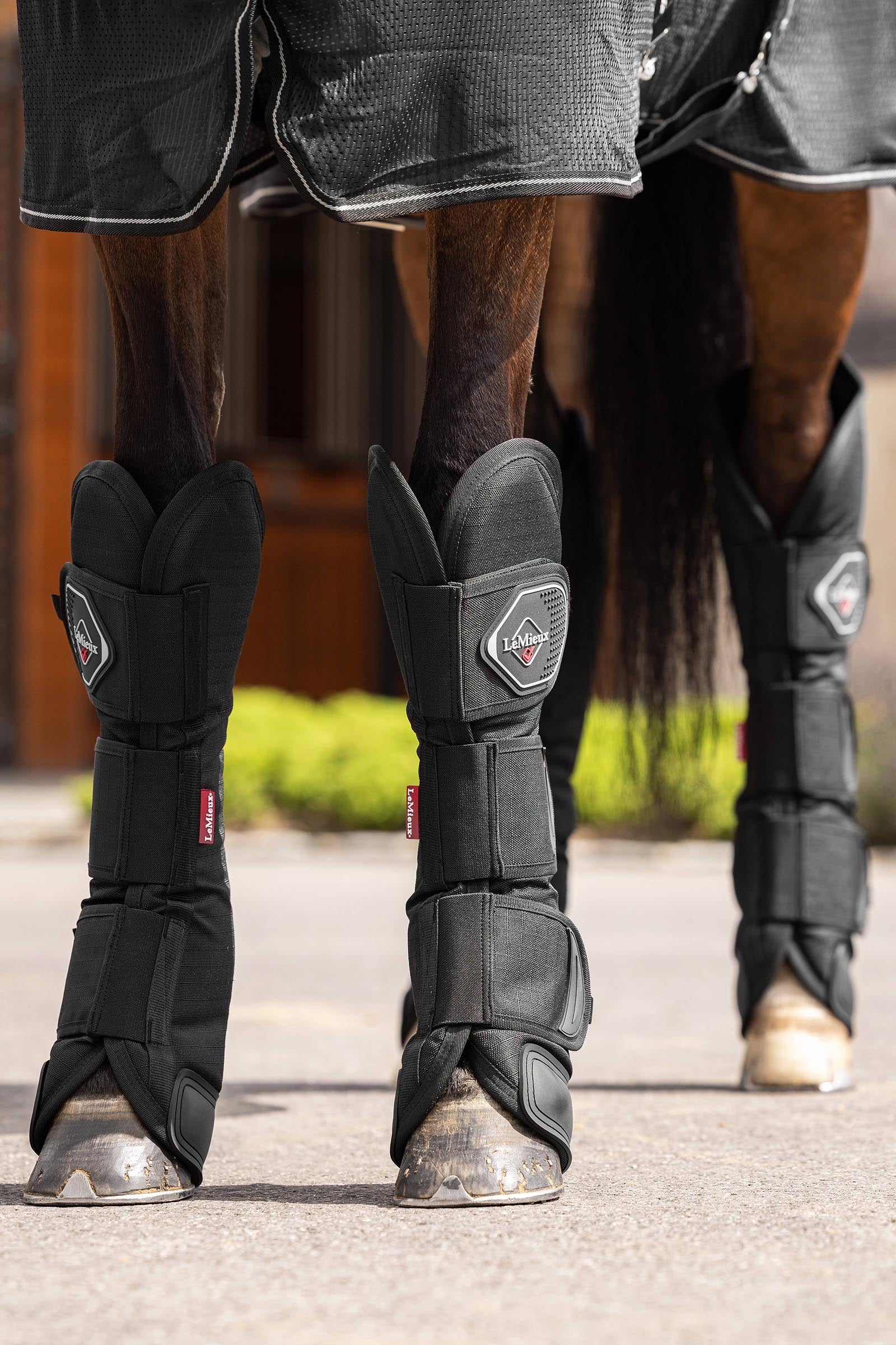 LeMieux Travel Boots Leg Protection & Hoof Protection for Horses