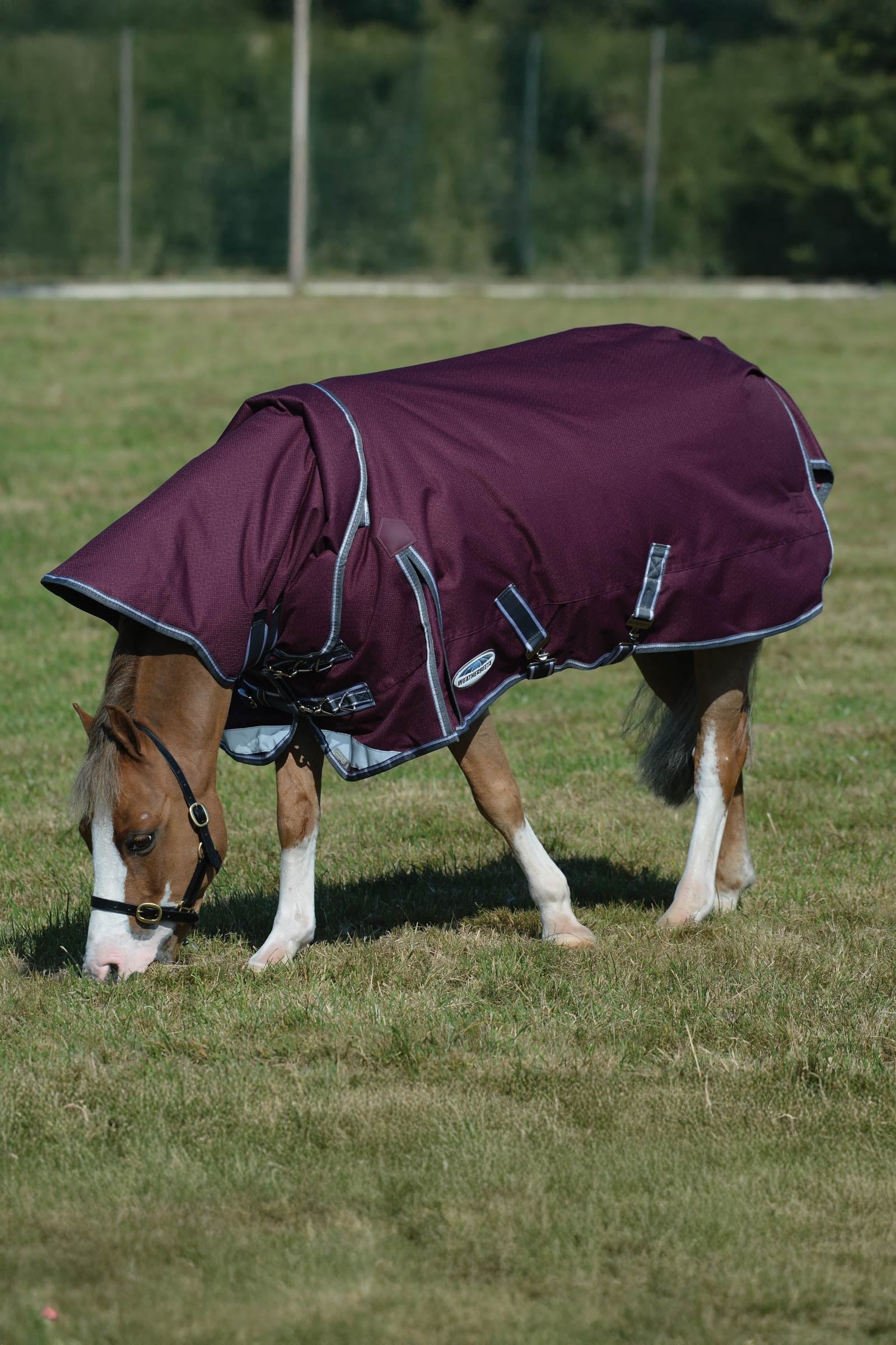 Weatherbeeta Comfitec Plus Dynamic II Turnout Rug With Detachable Neck, 100g Horse Rugs
