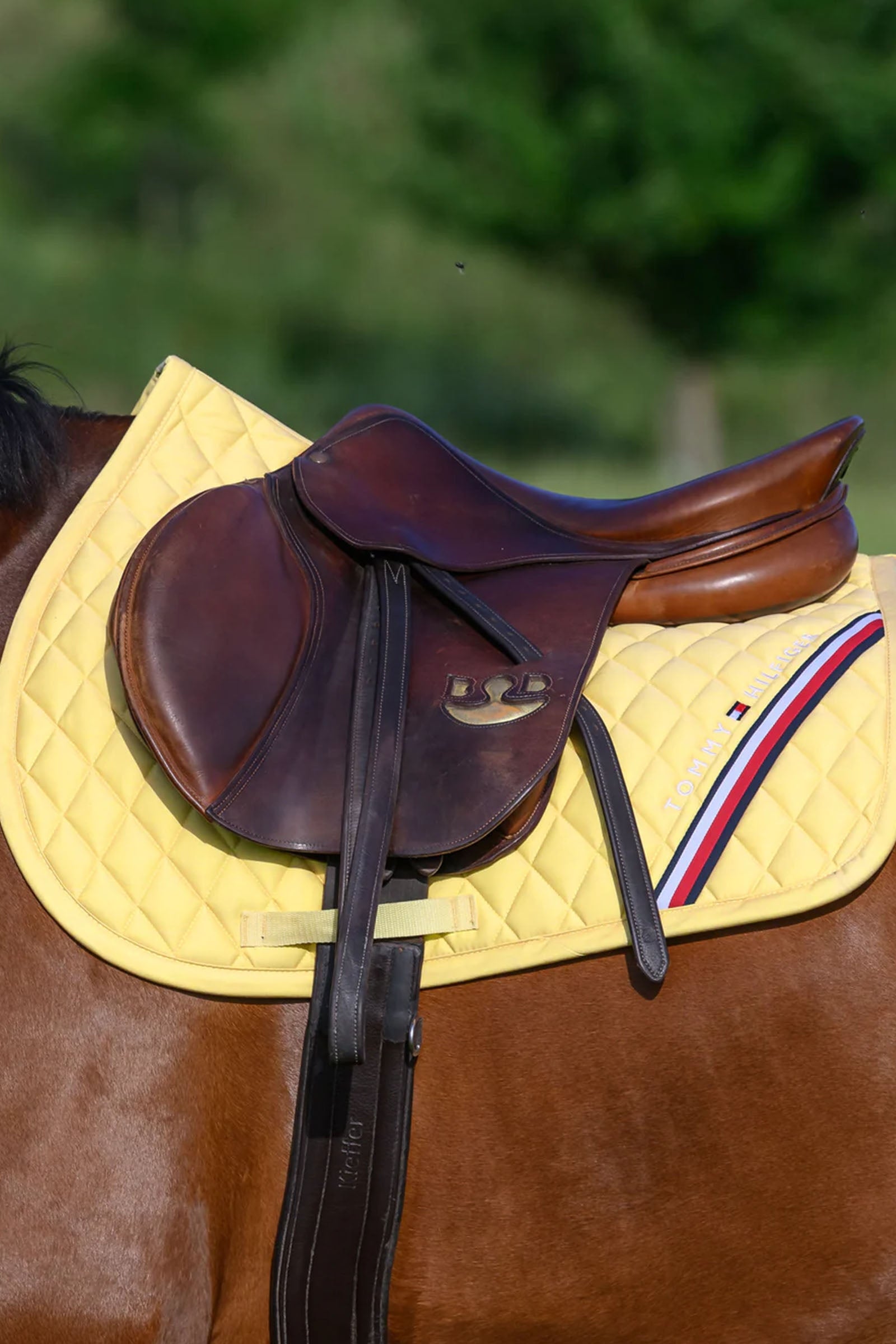Tommy Hilfiger Equestrian Stanford Jumping Saddlepad Saddle Pads