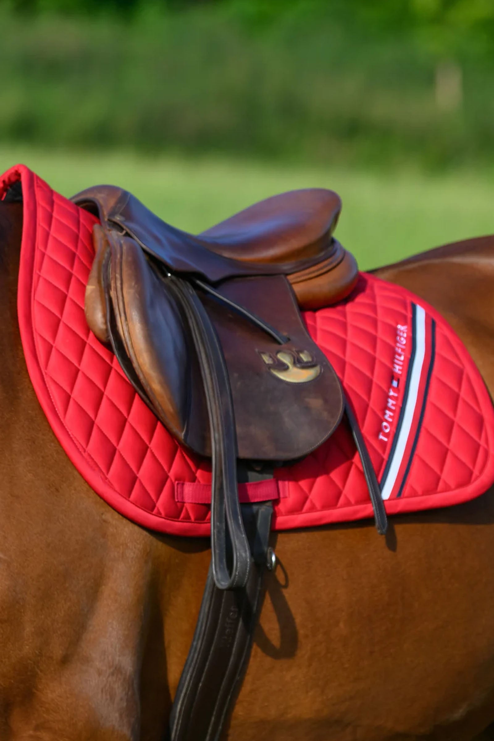 Tommy Hilfiger Equestrian Stanford Jumping Saddlepad Saddle Pads