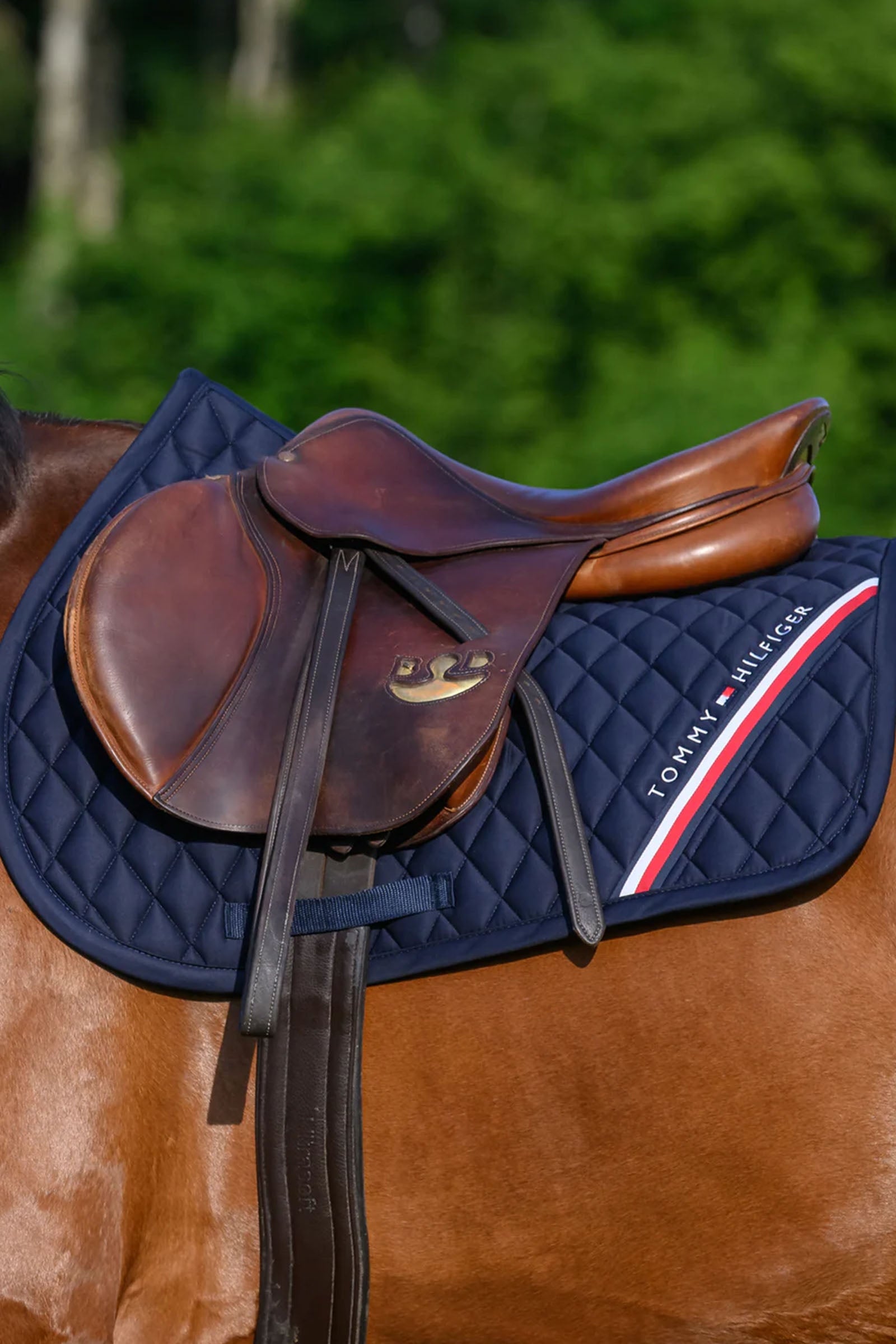 Tommy Hilfiger Equestrian Stanford Jumping Saddlepad Saddle Pads