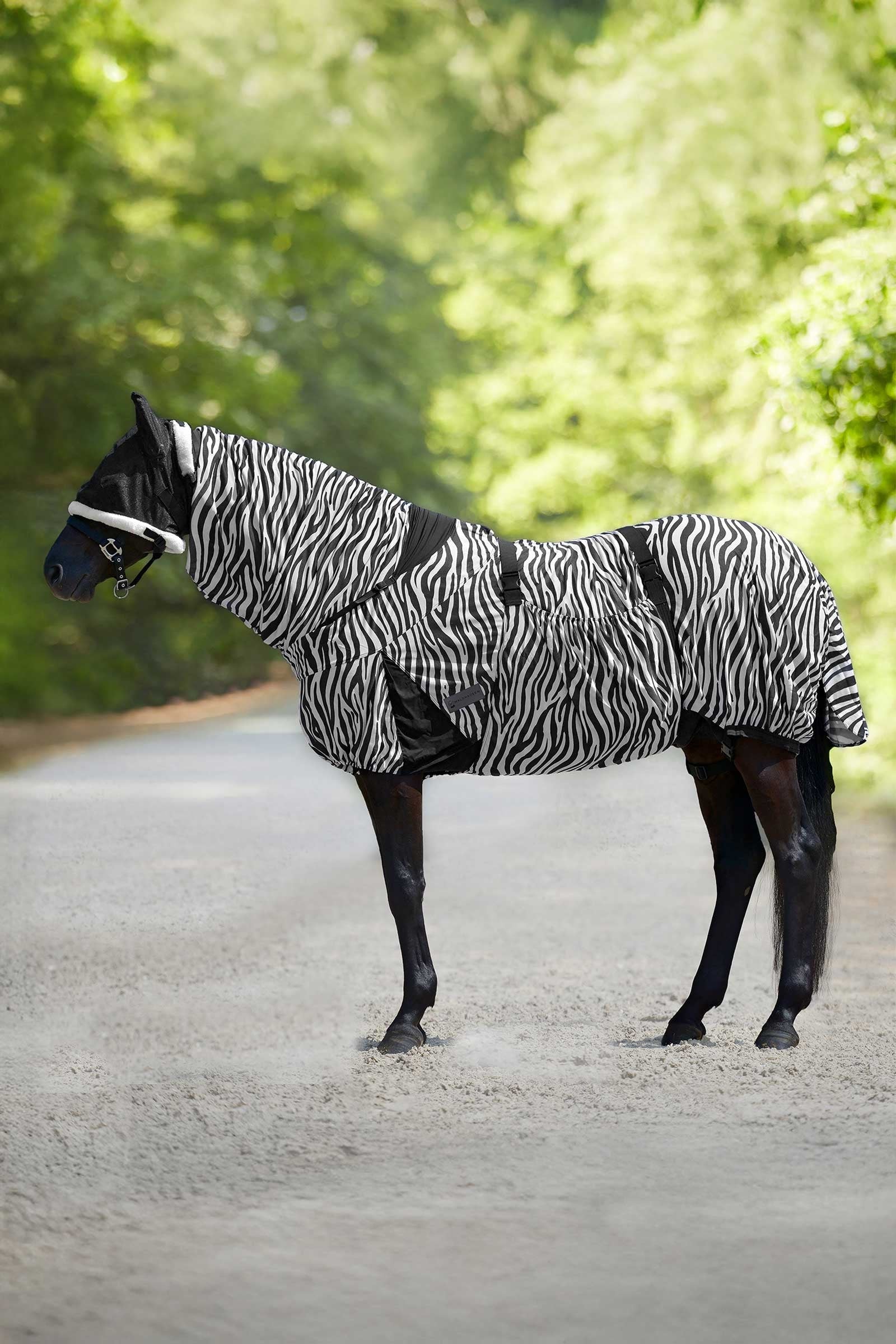 Waldhausen Zebra Eczema Rug Horse Rugs