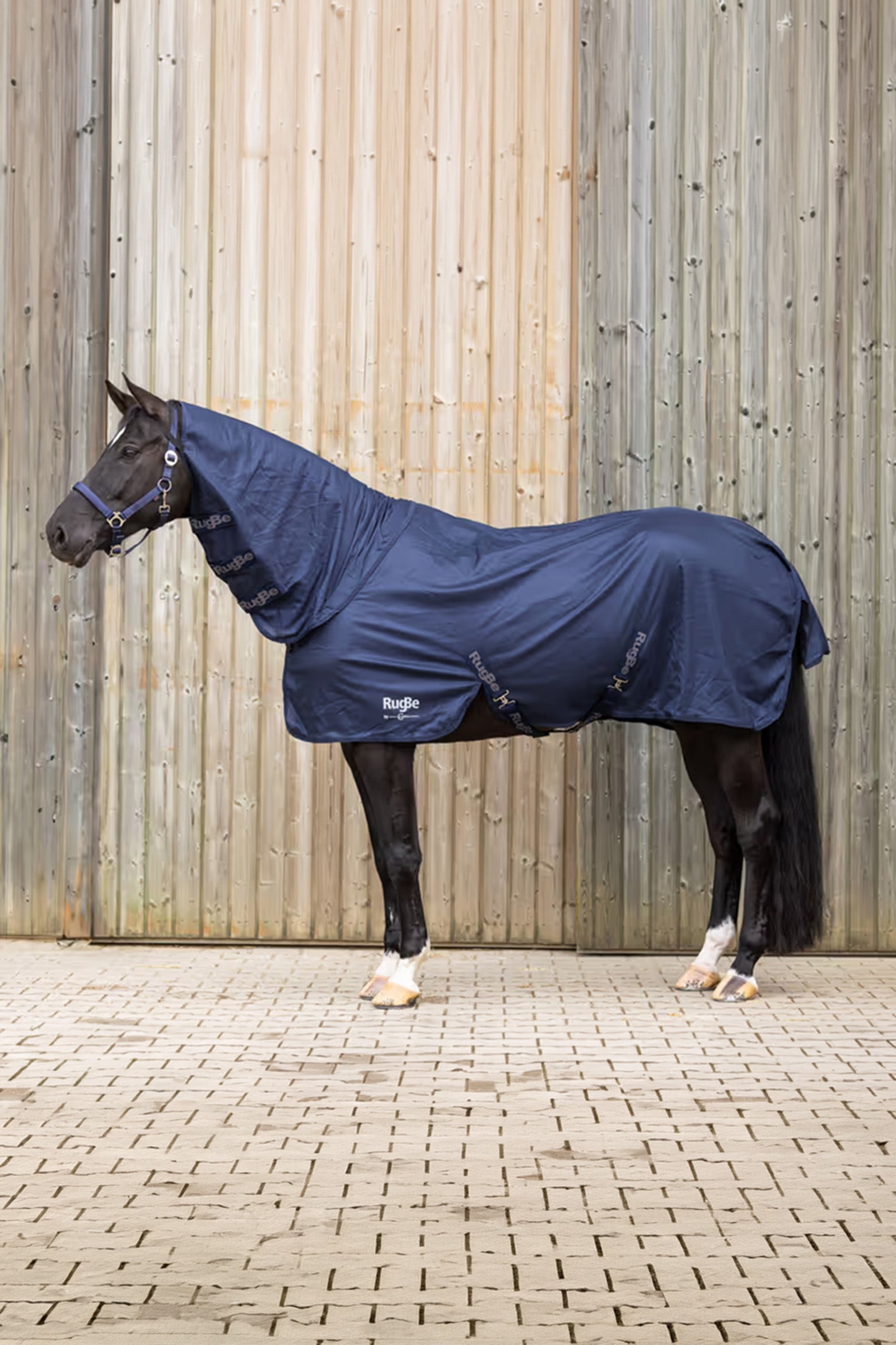 Covalliero RugBe Superfly Fly Rug Horse Rugs