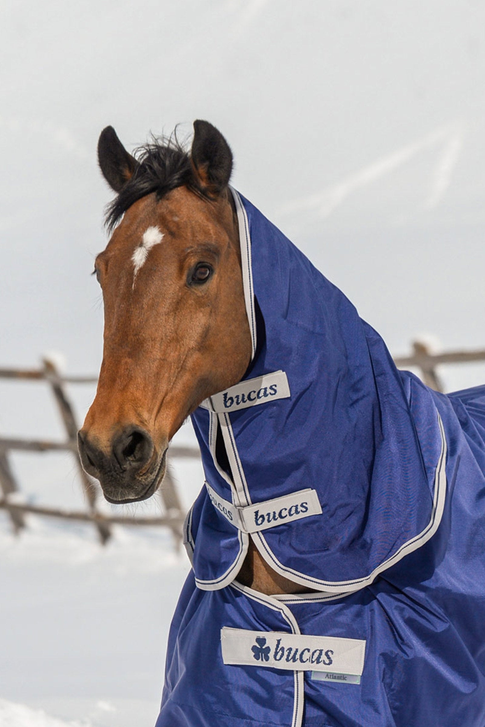 Bucas Atlantic Turnout Neck Piece, 300 g Horse Rugs