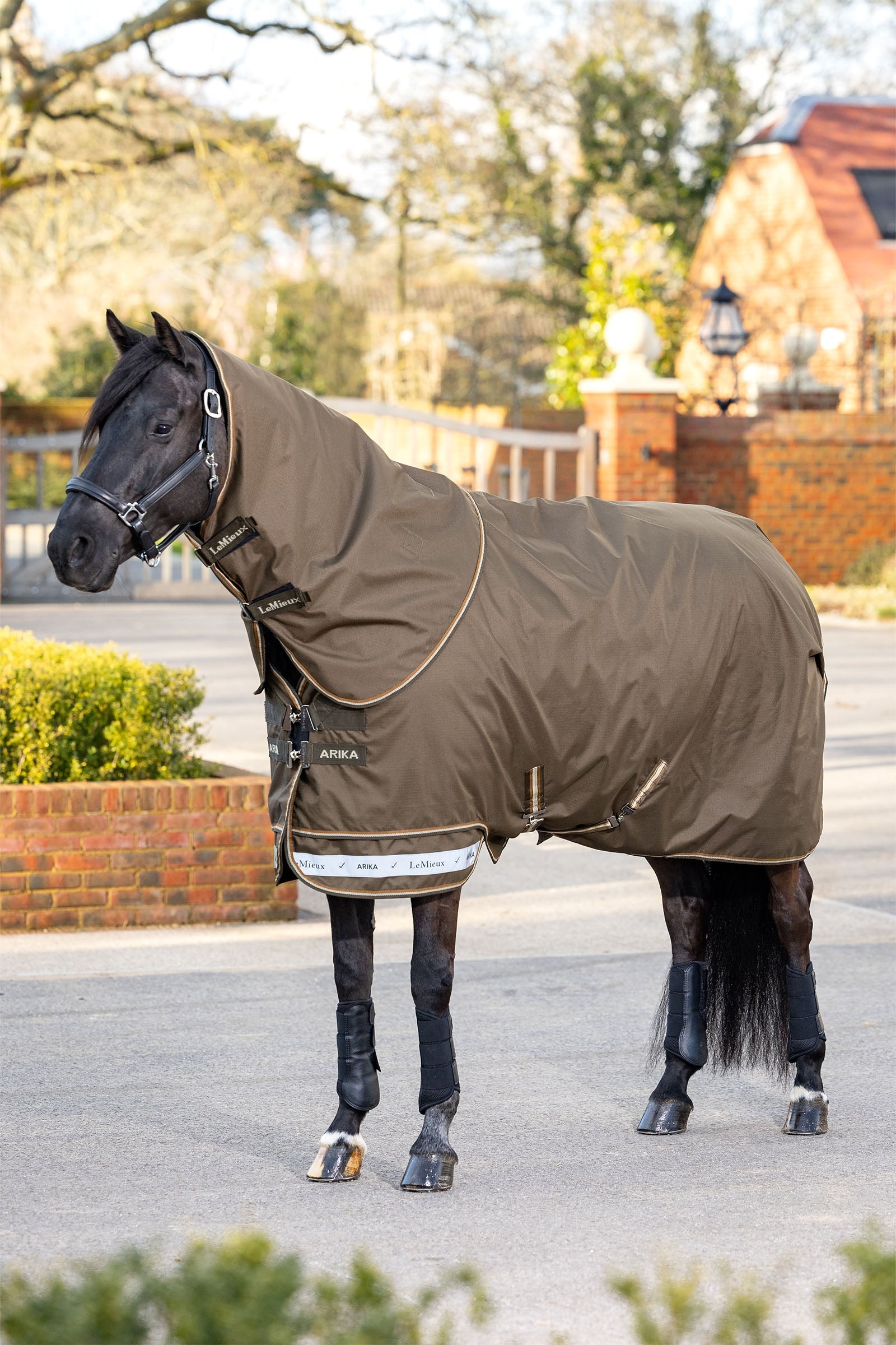 LeMieux Arika Ripstop Turnout Rug With Detachable Neck, 100 g Horse Rugs