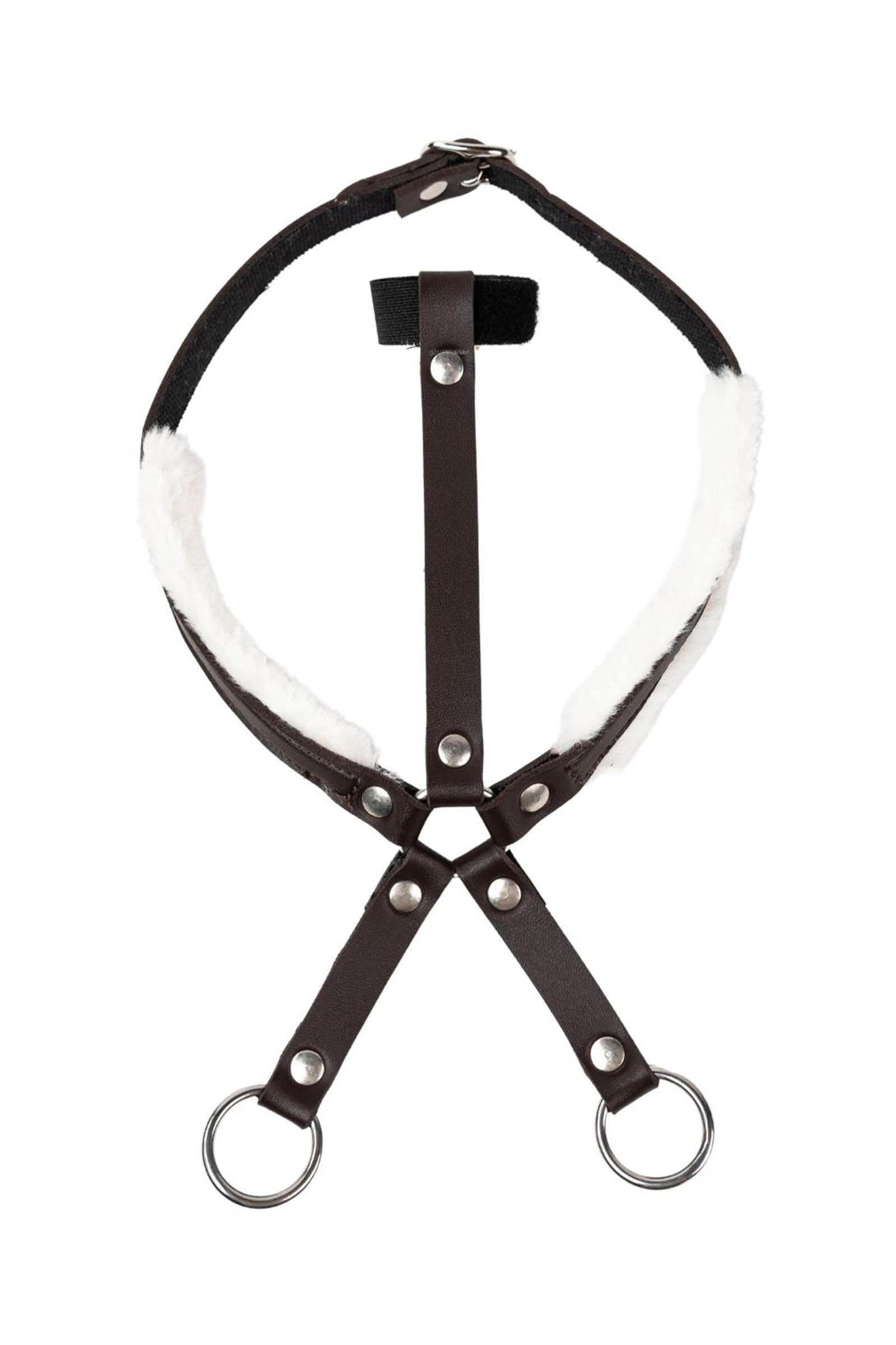 My Hobby Horse Martingal Geschenkartikel