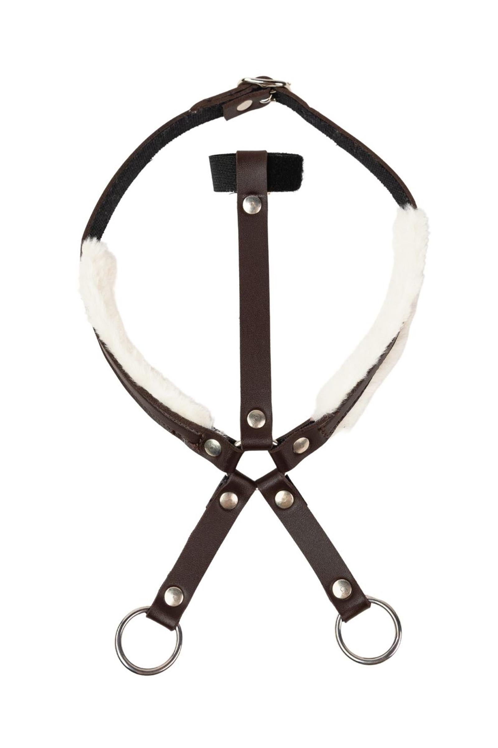 My Hobby Horse Martingal Geschenkartikel
