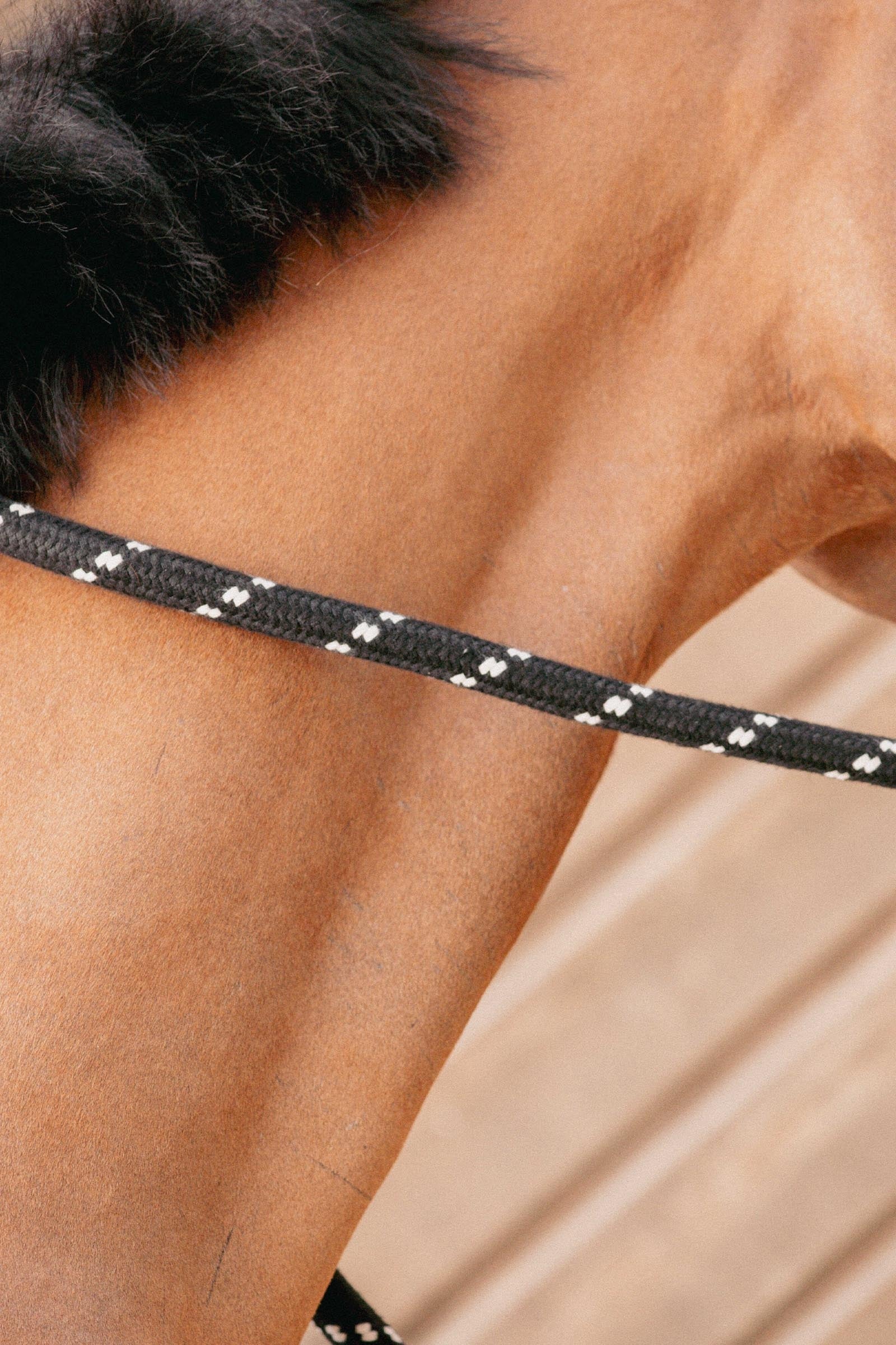 PENELOPE Ethological Lead Rope (3,5 m) Halters & Leads